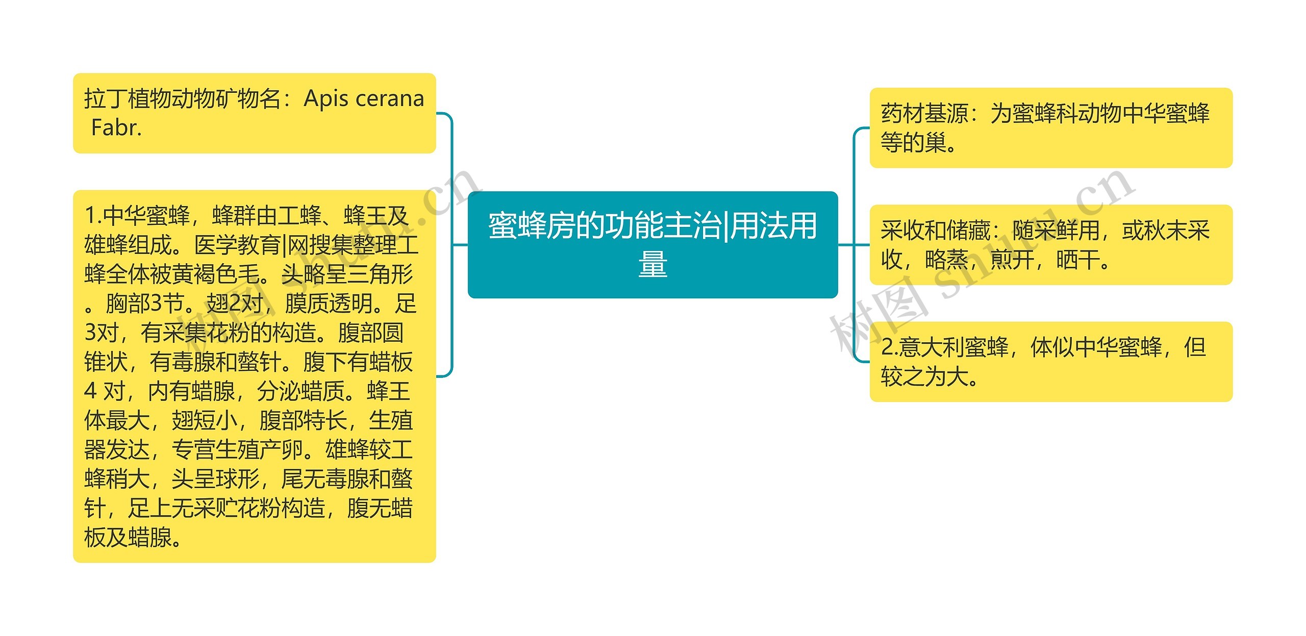 蜜蜂房的功能主治|用法用量思维导图