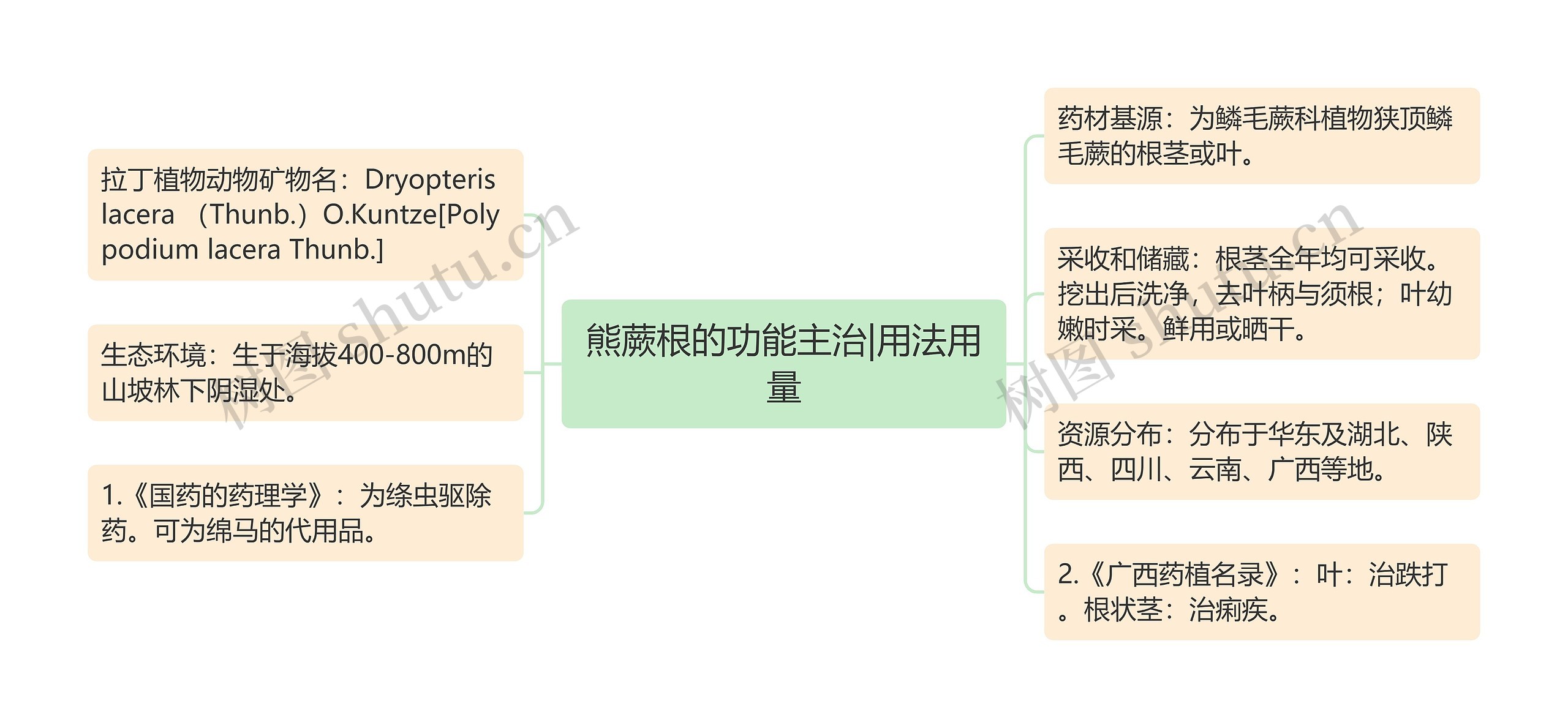 熊蕨根的功能主治|用法用量