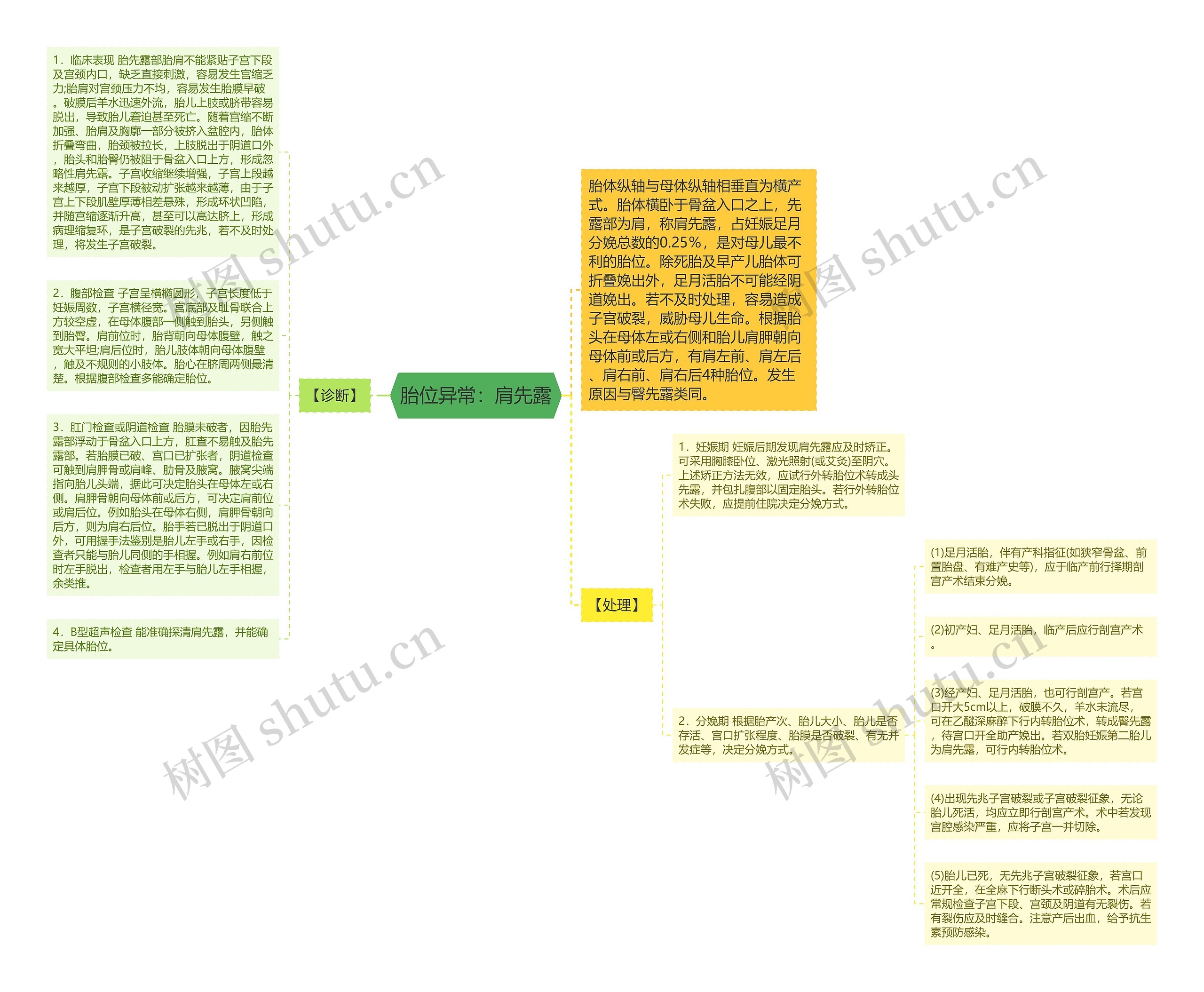 胎位异常：肩先露思维导图