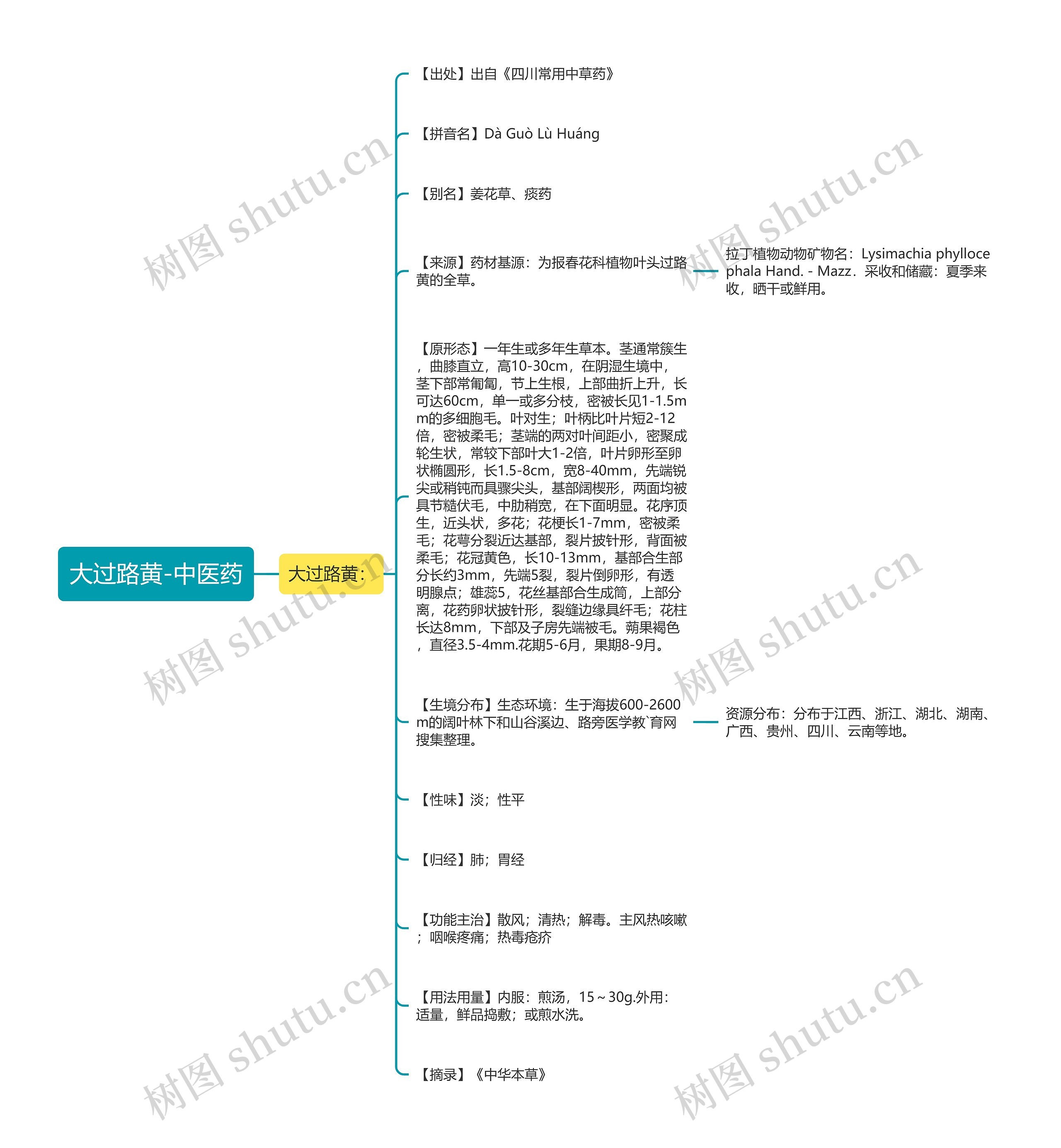 大过路黄-中医药思维导图
