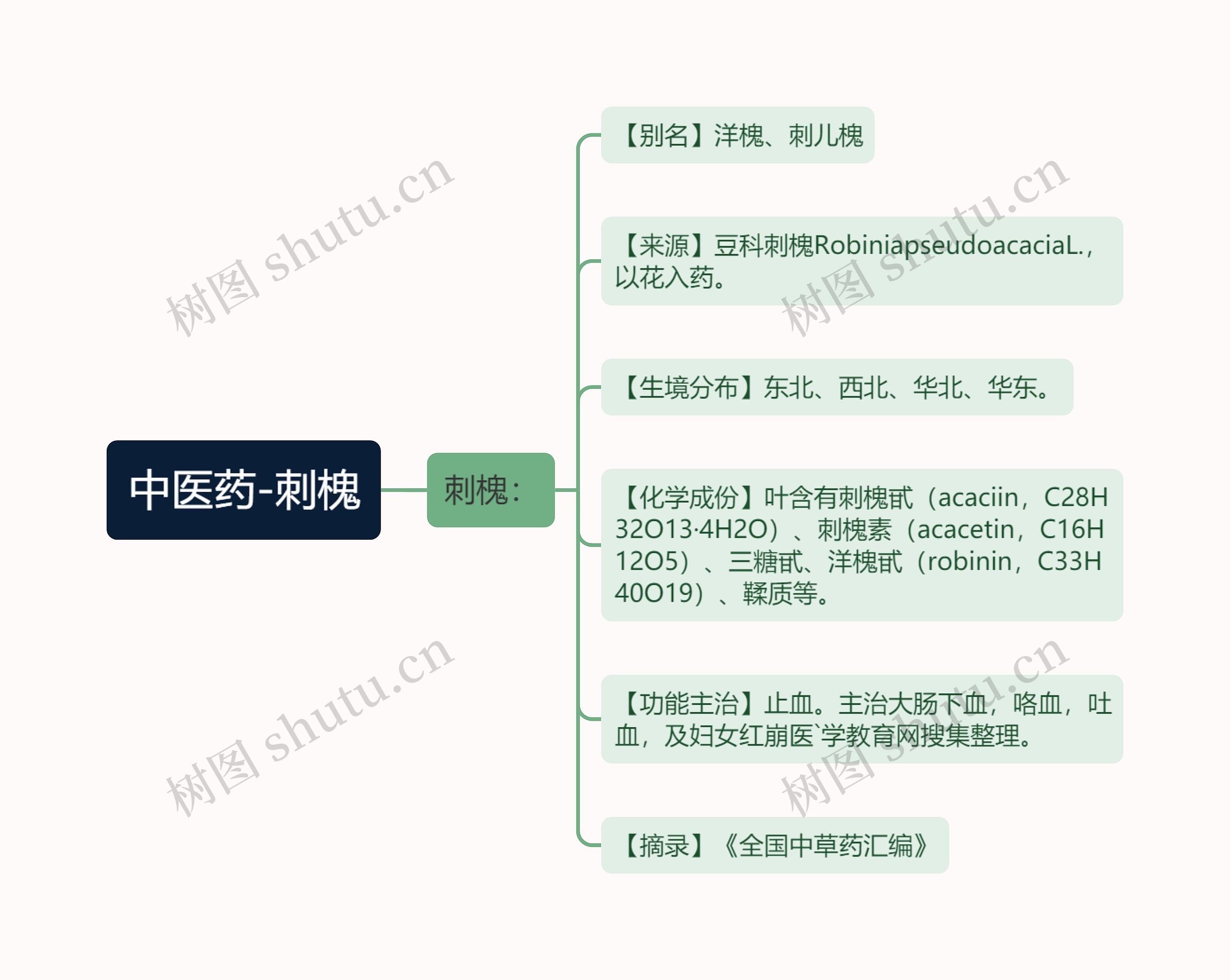 中医药-刺槐思维导图