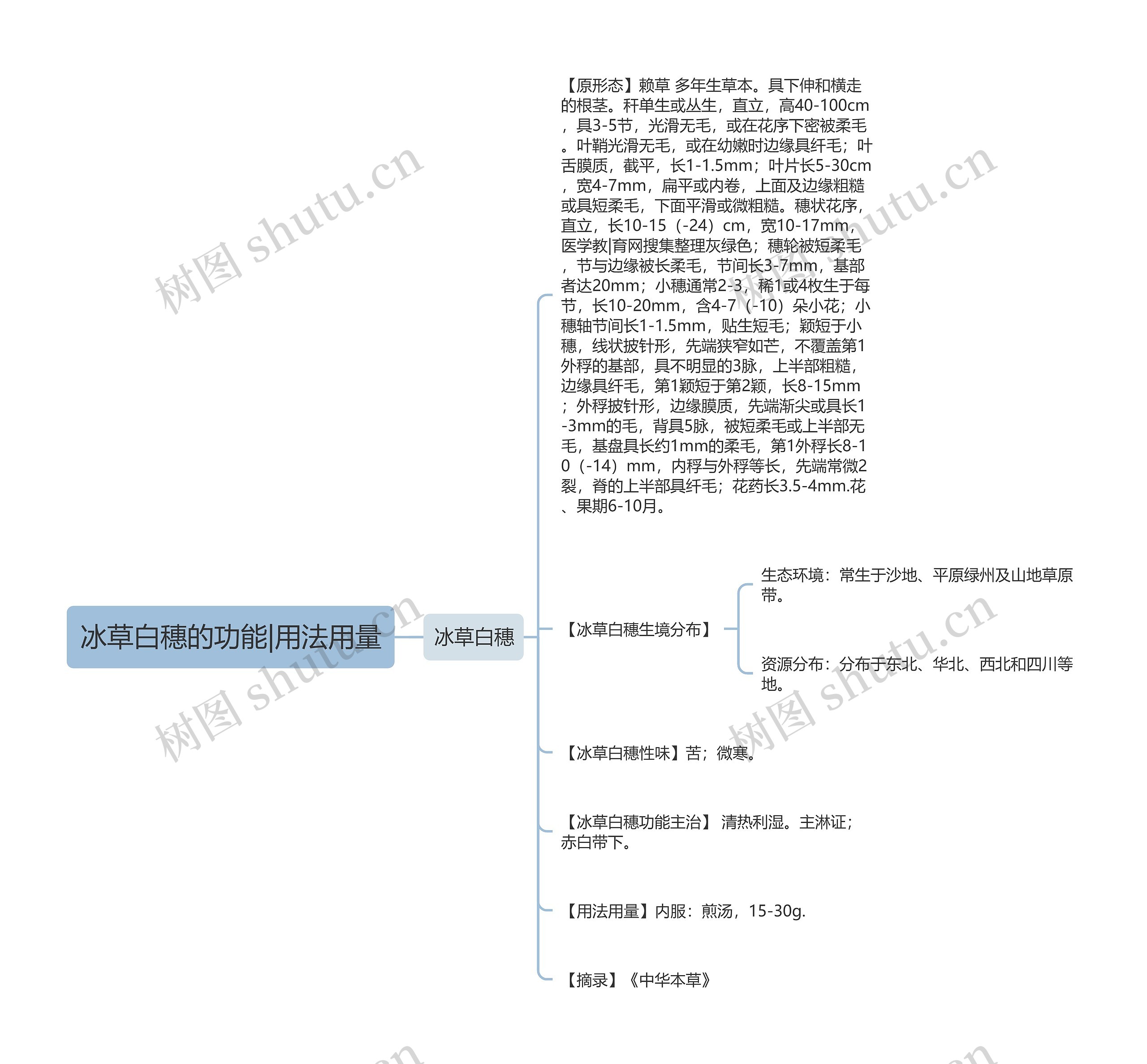 冰草白穗的功能|用法用量 冰草白穗的功能|用法用量