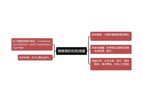 猴樟果的功效|用量