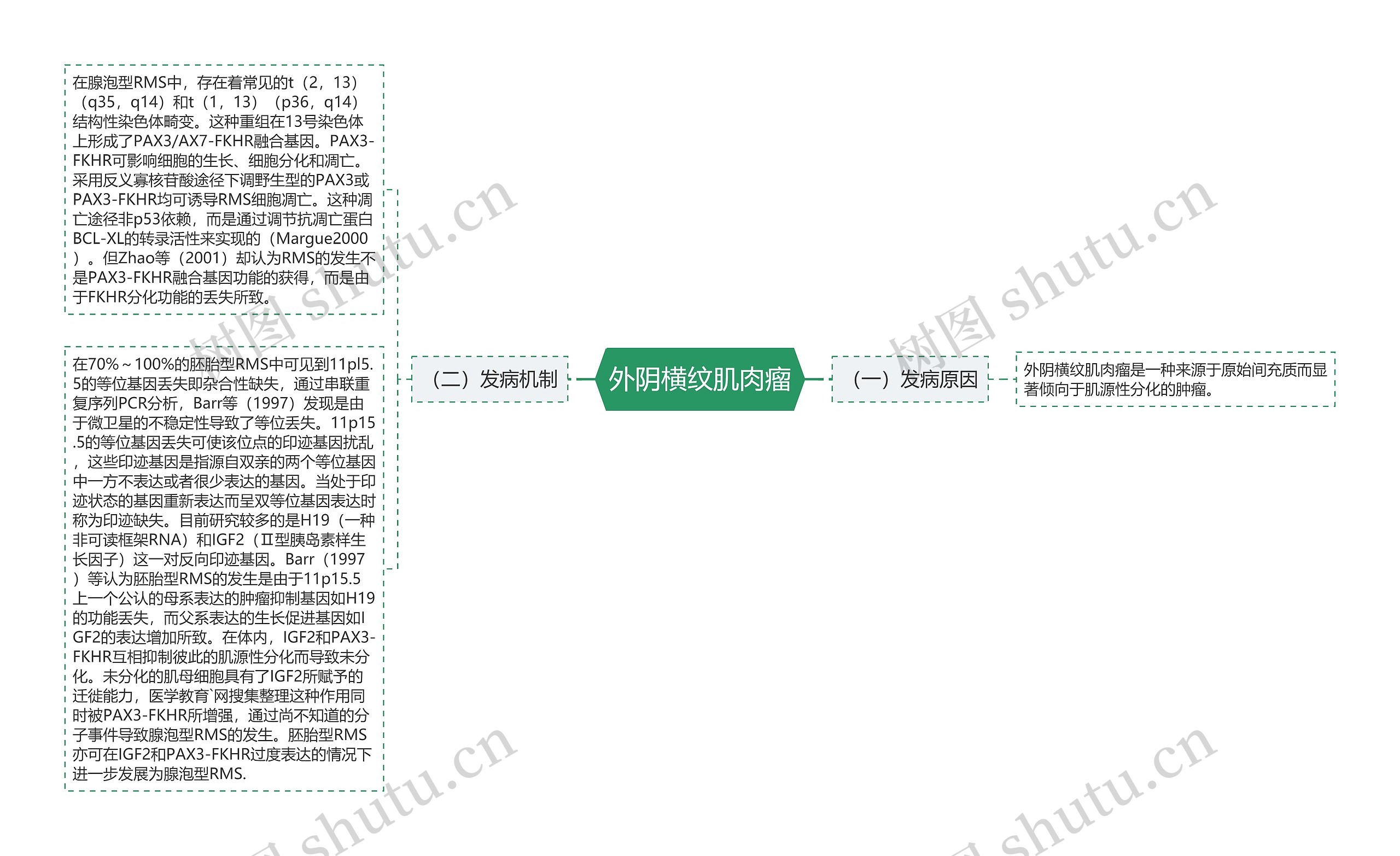 外阴横纹肌肉瘤思维导图