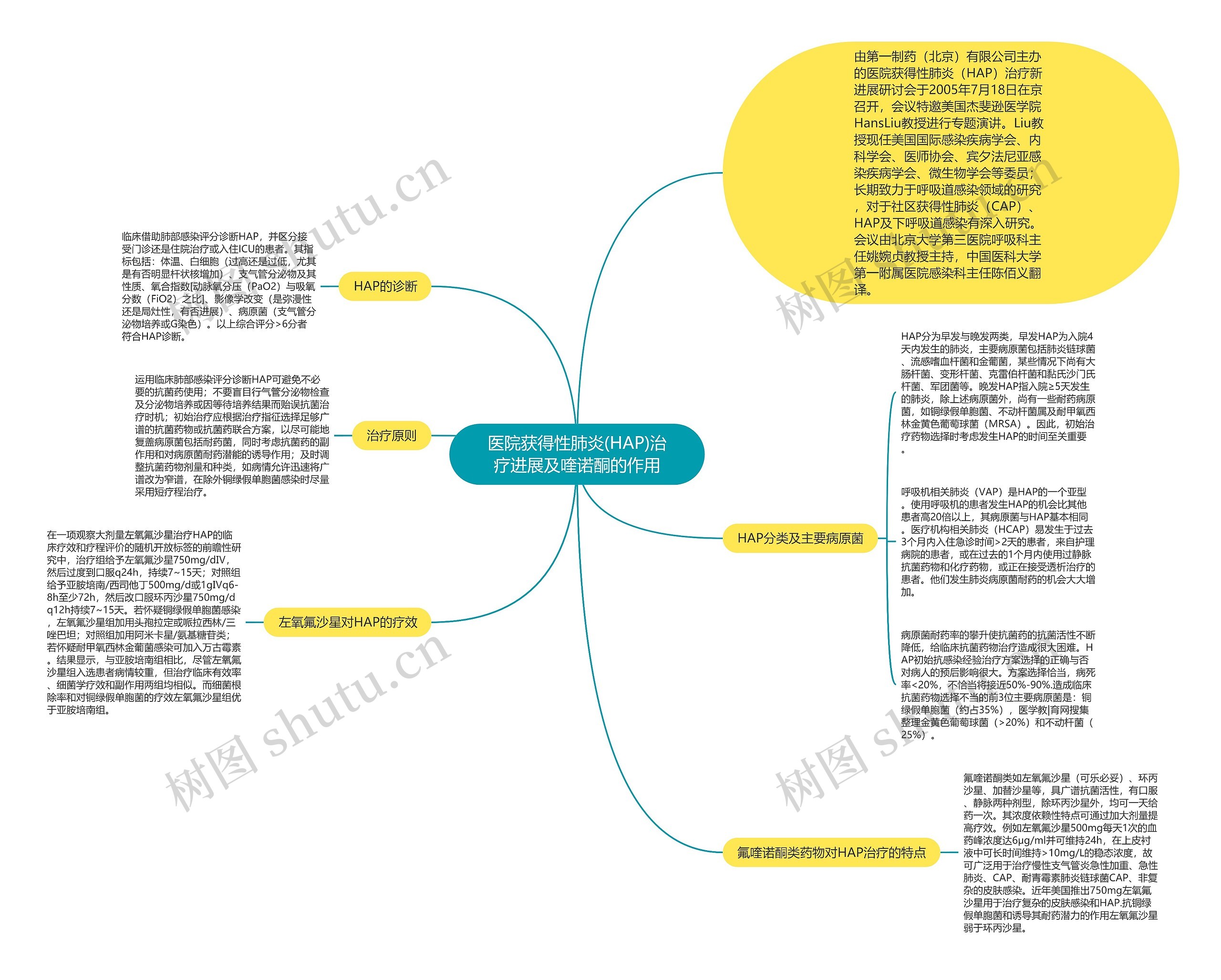 医院获得性肺炎(HAP)治疗进展及喹诺酮的作用思维导图