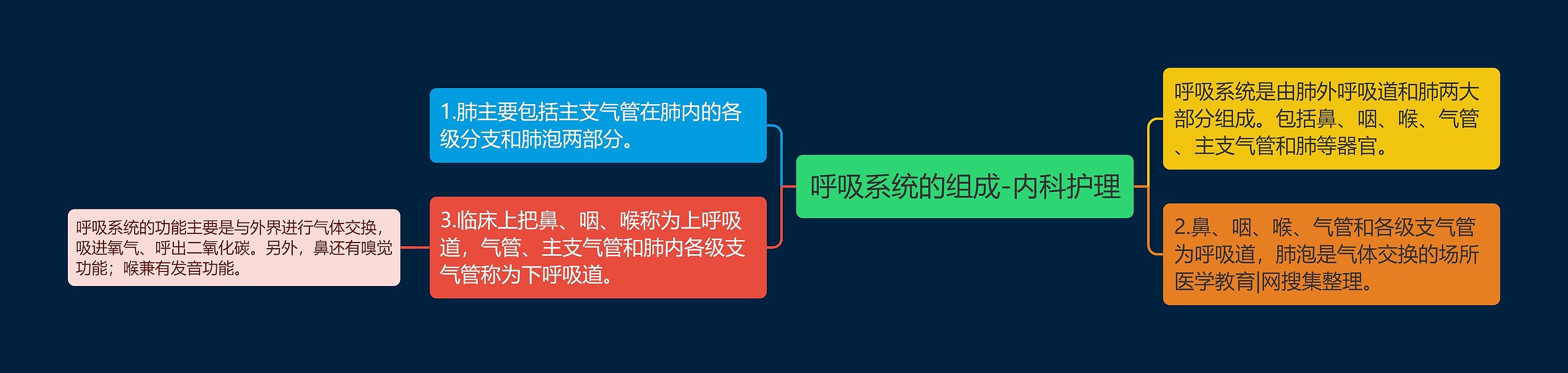 呼吸系统的组成-内科护理思维导图