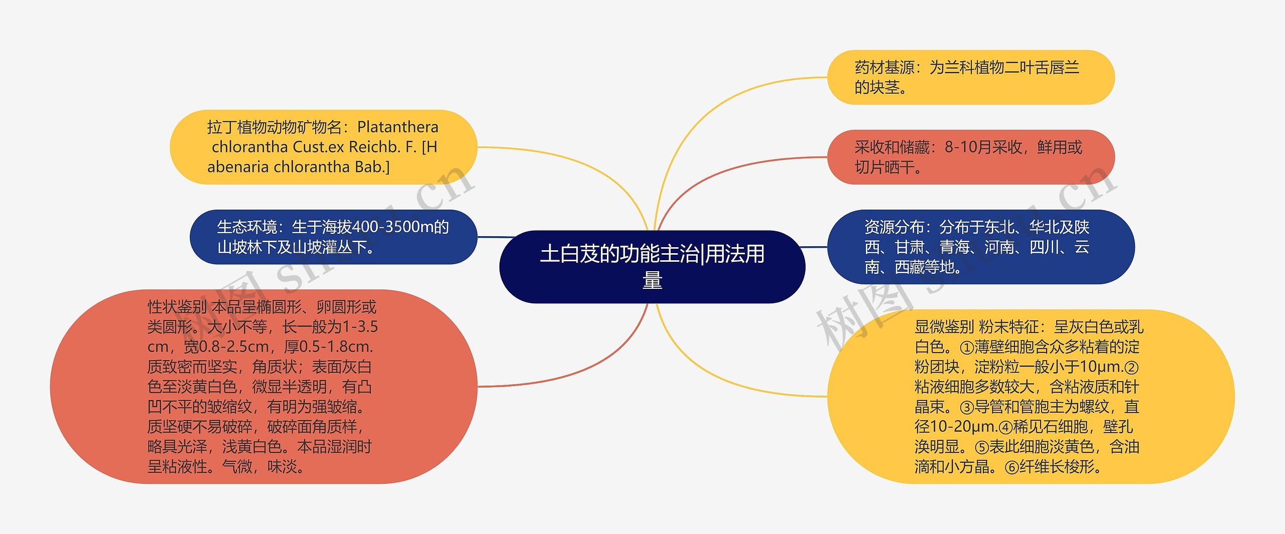 土白芨的功能主治|用法用量思维导图