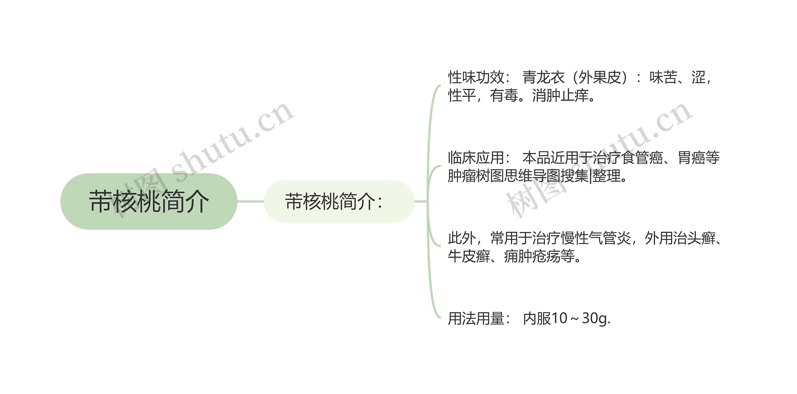 芾核桃简介思维导图