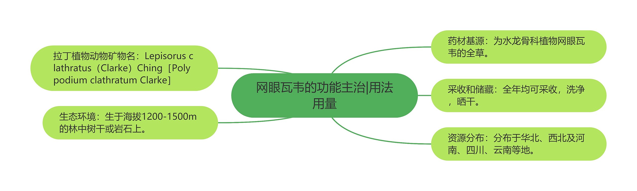 网眼瓦韦的功能主治|用法用量 网眼瓦韦的功能主治|用法用量