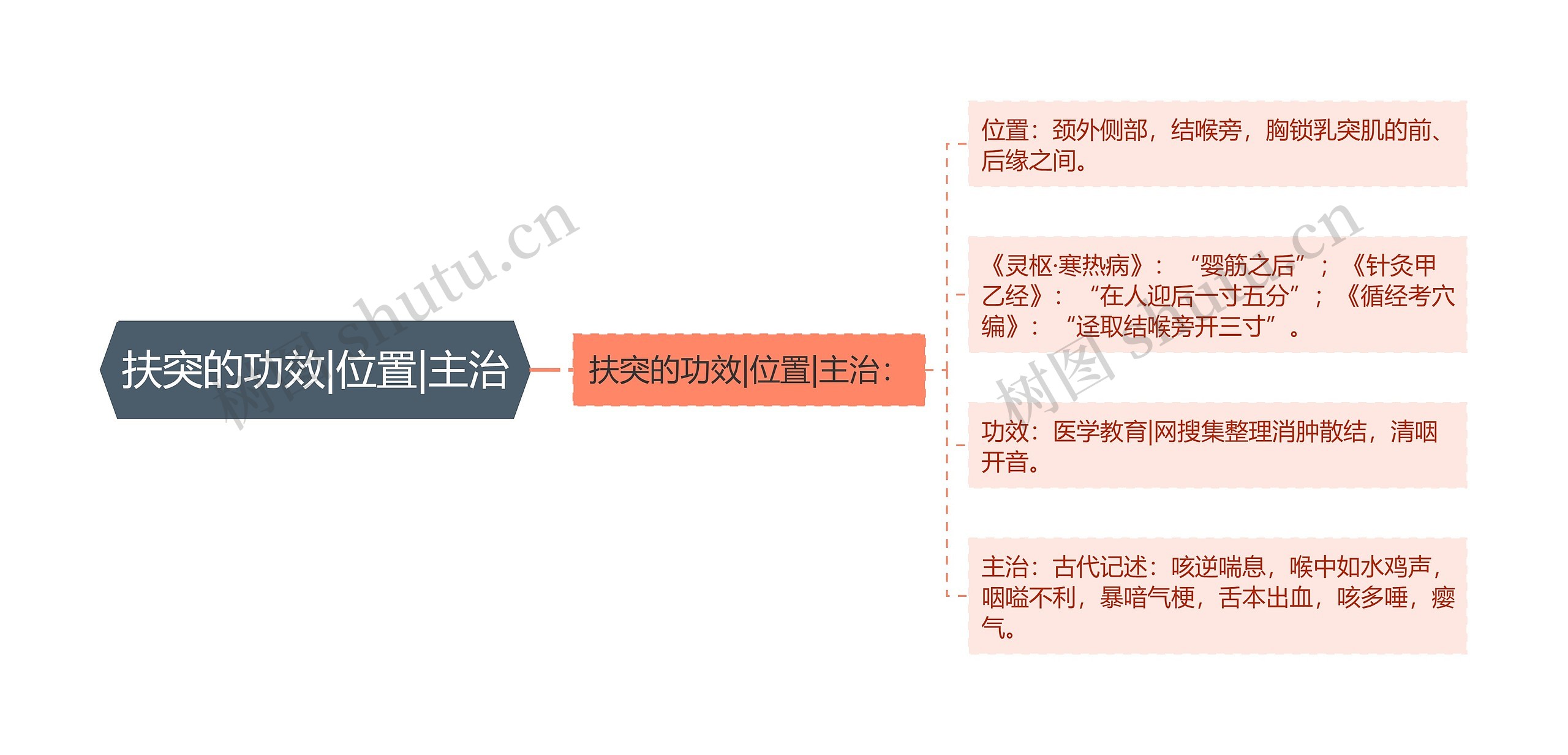 扶突的功效|位置|主治