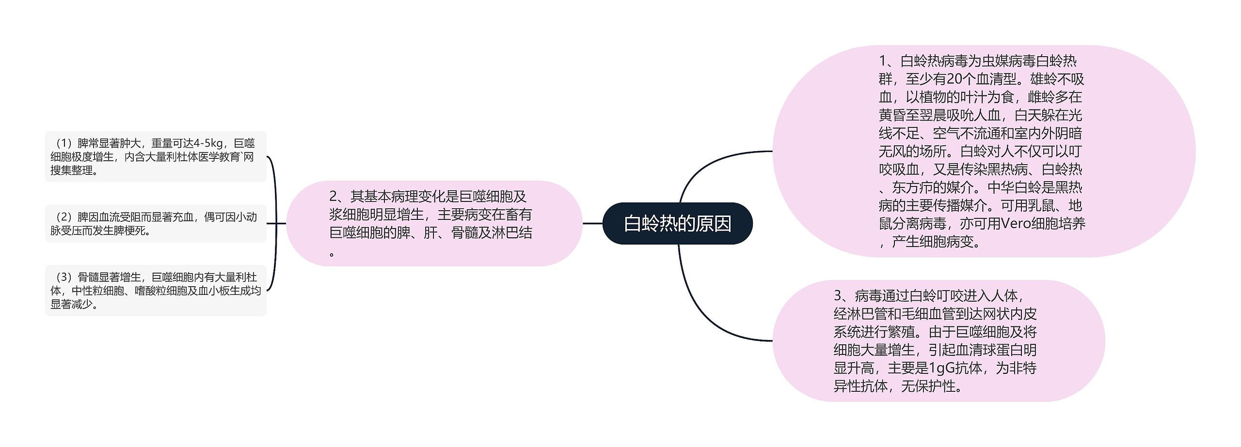 白蛉热的原因思维导图