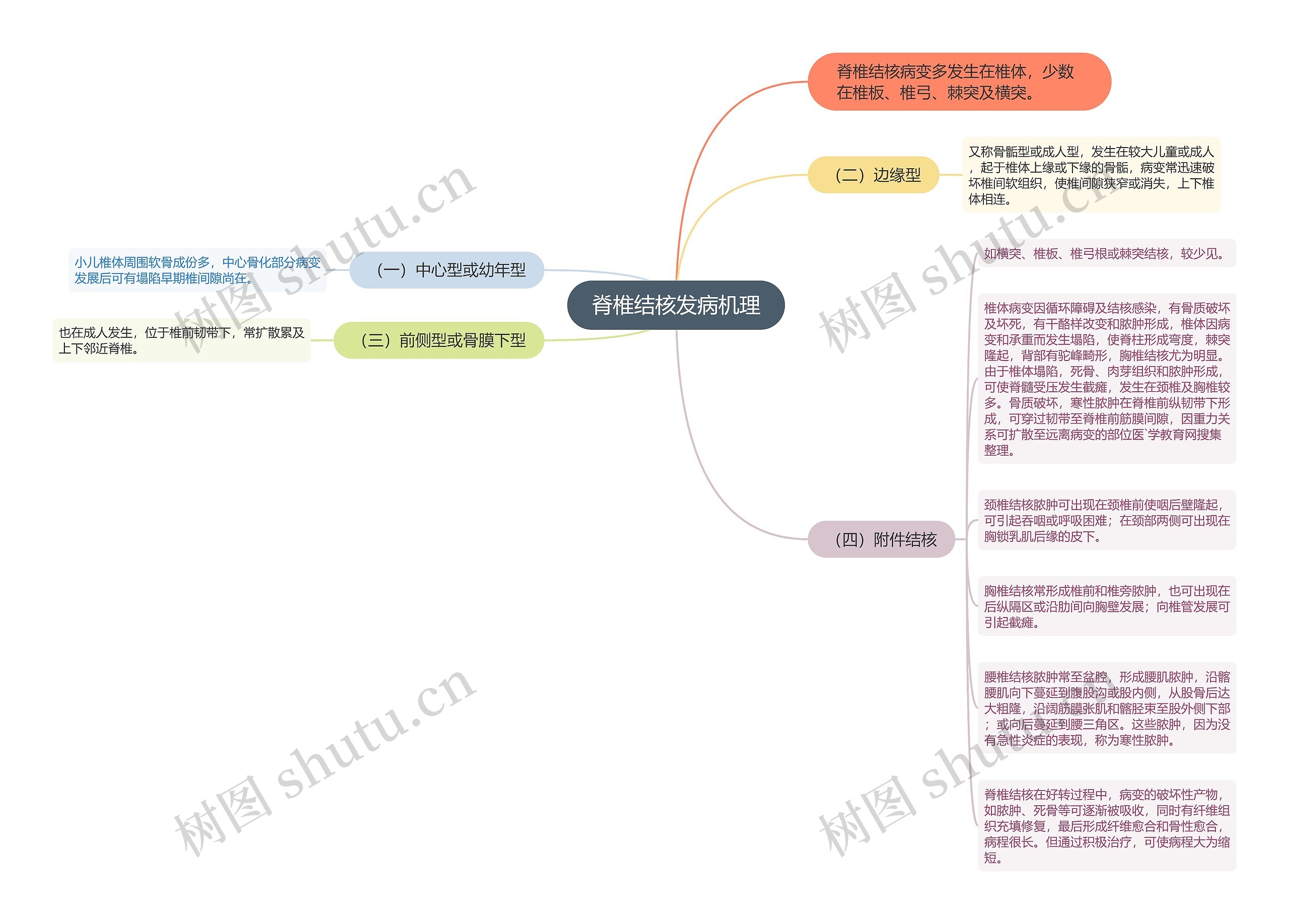 脊椎结核发病机理思维导图