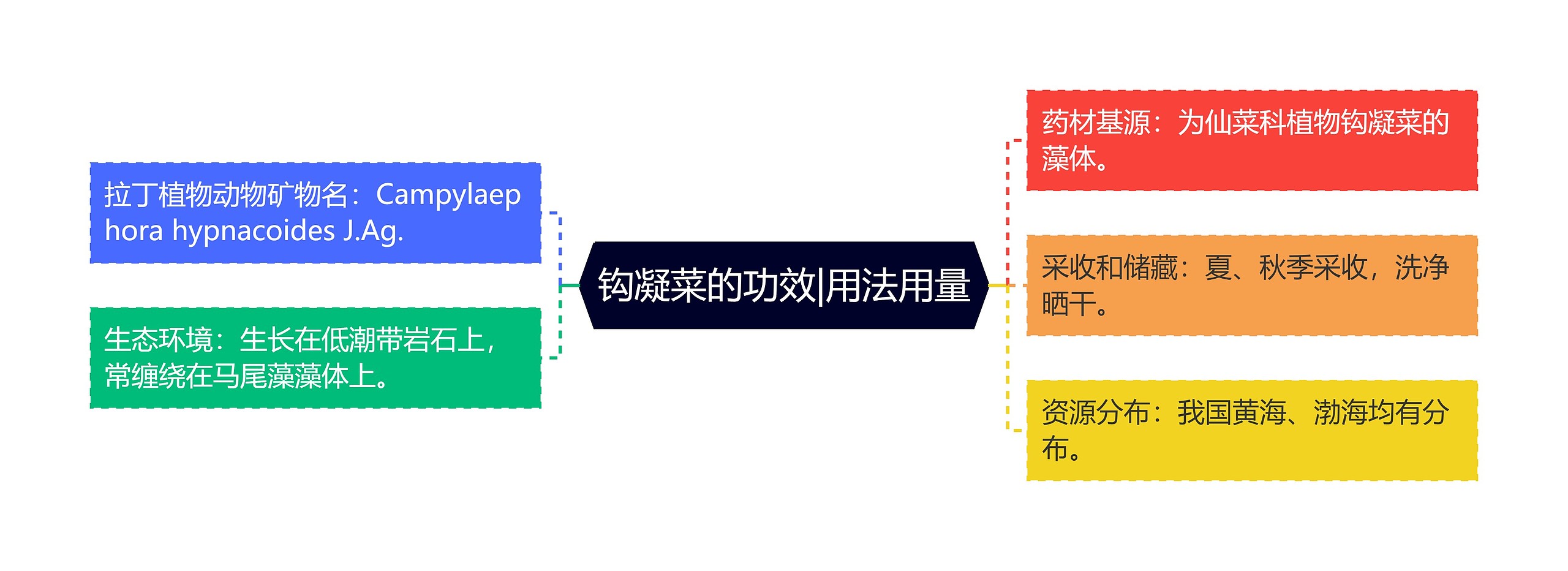 钩凝菜的功效|用法用量思维导图