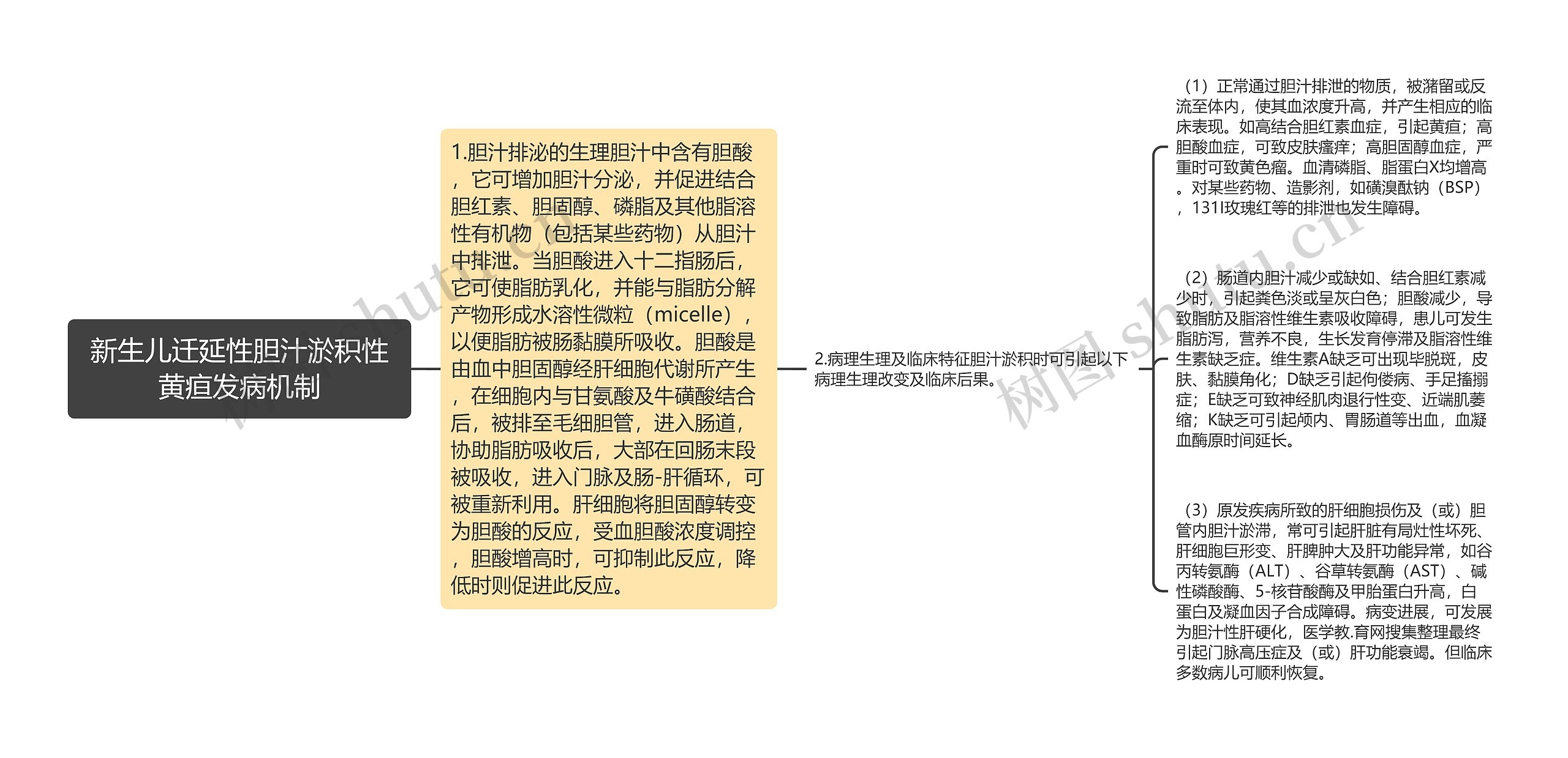 新生儿迁延性胆汁淤积性黄疸发病机制