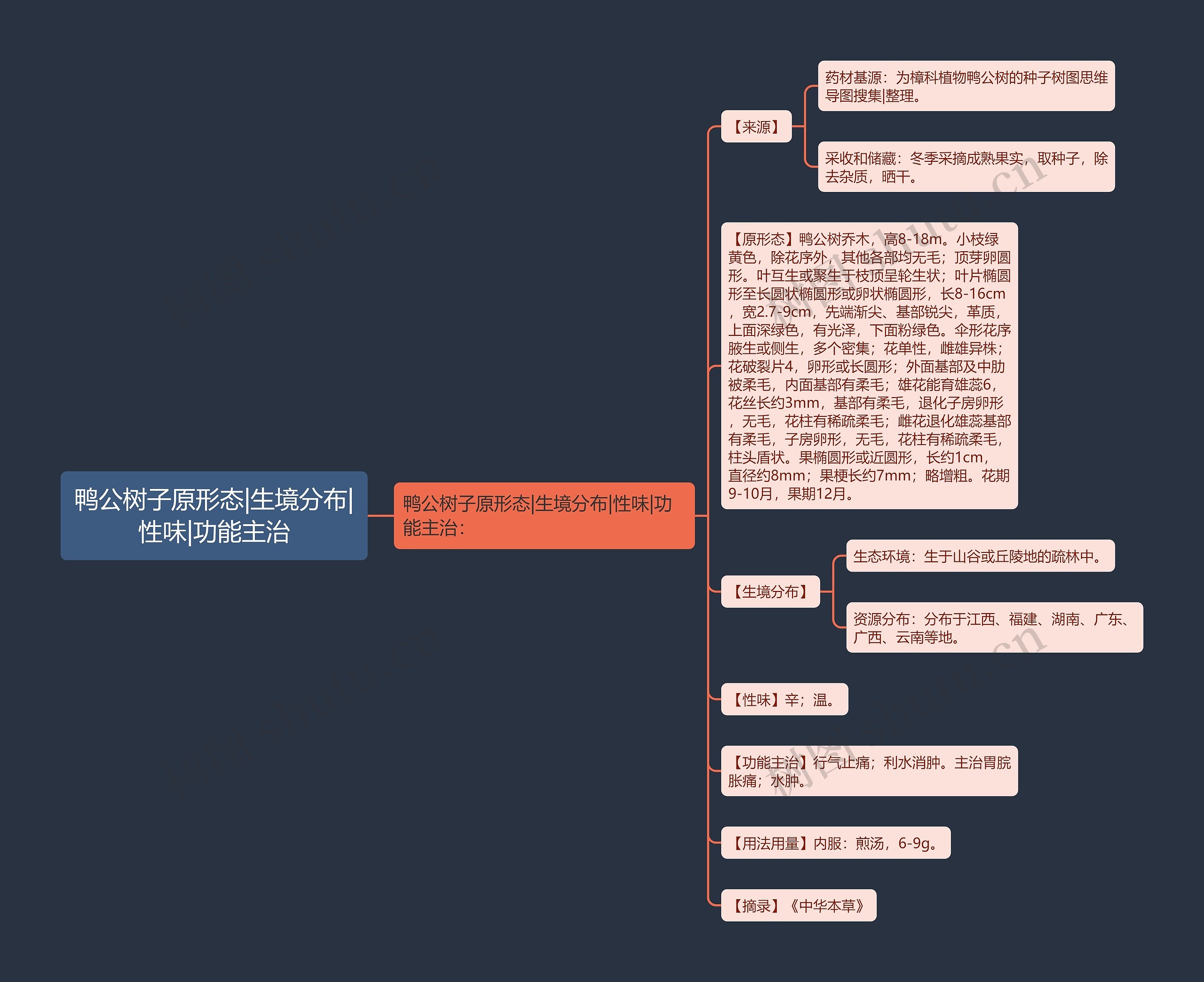 鸭公树子原形态|生境分布|性味|功能主治