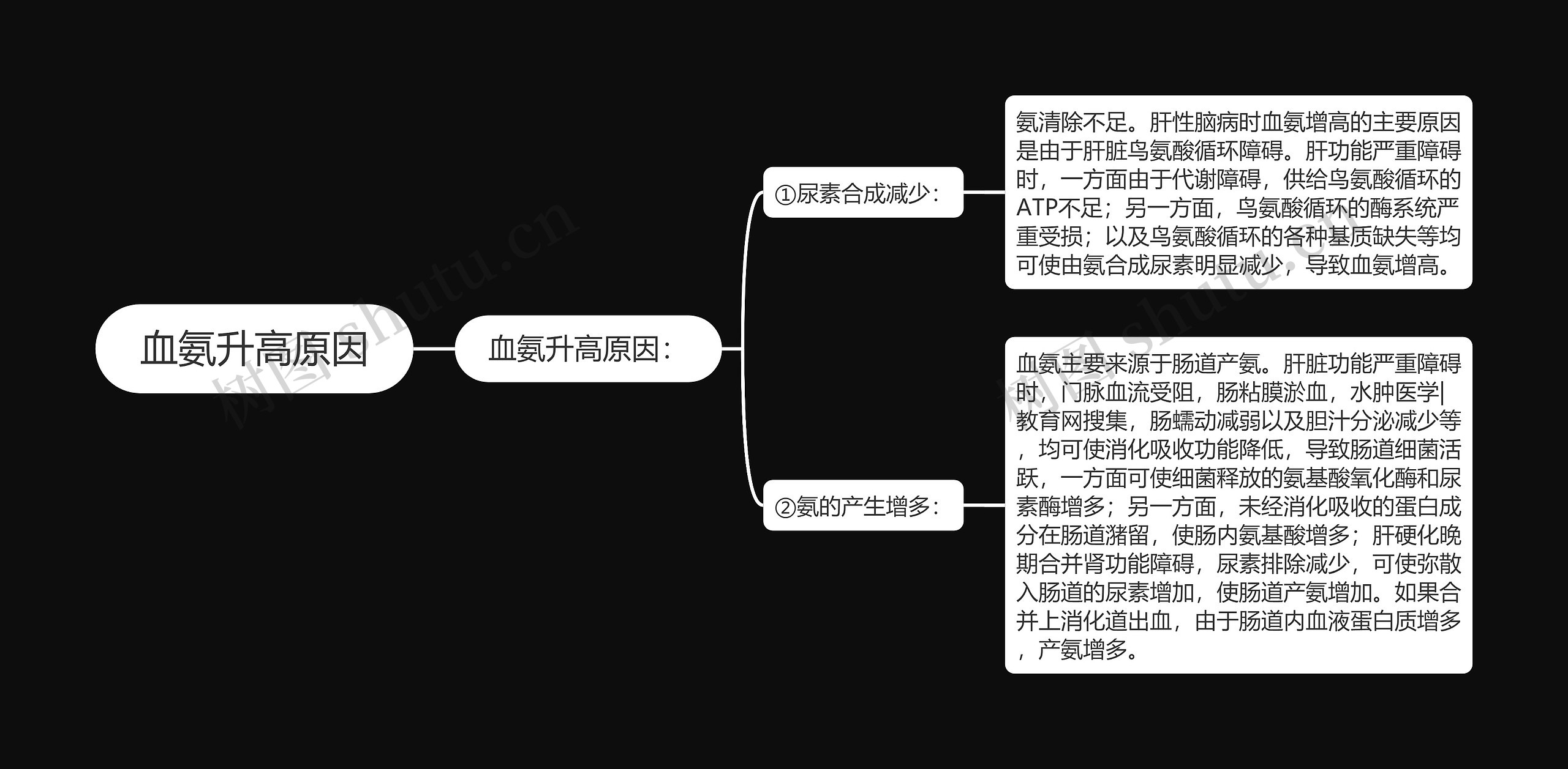 血氨升高原因思维导图