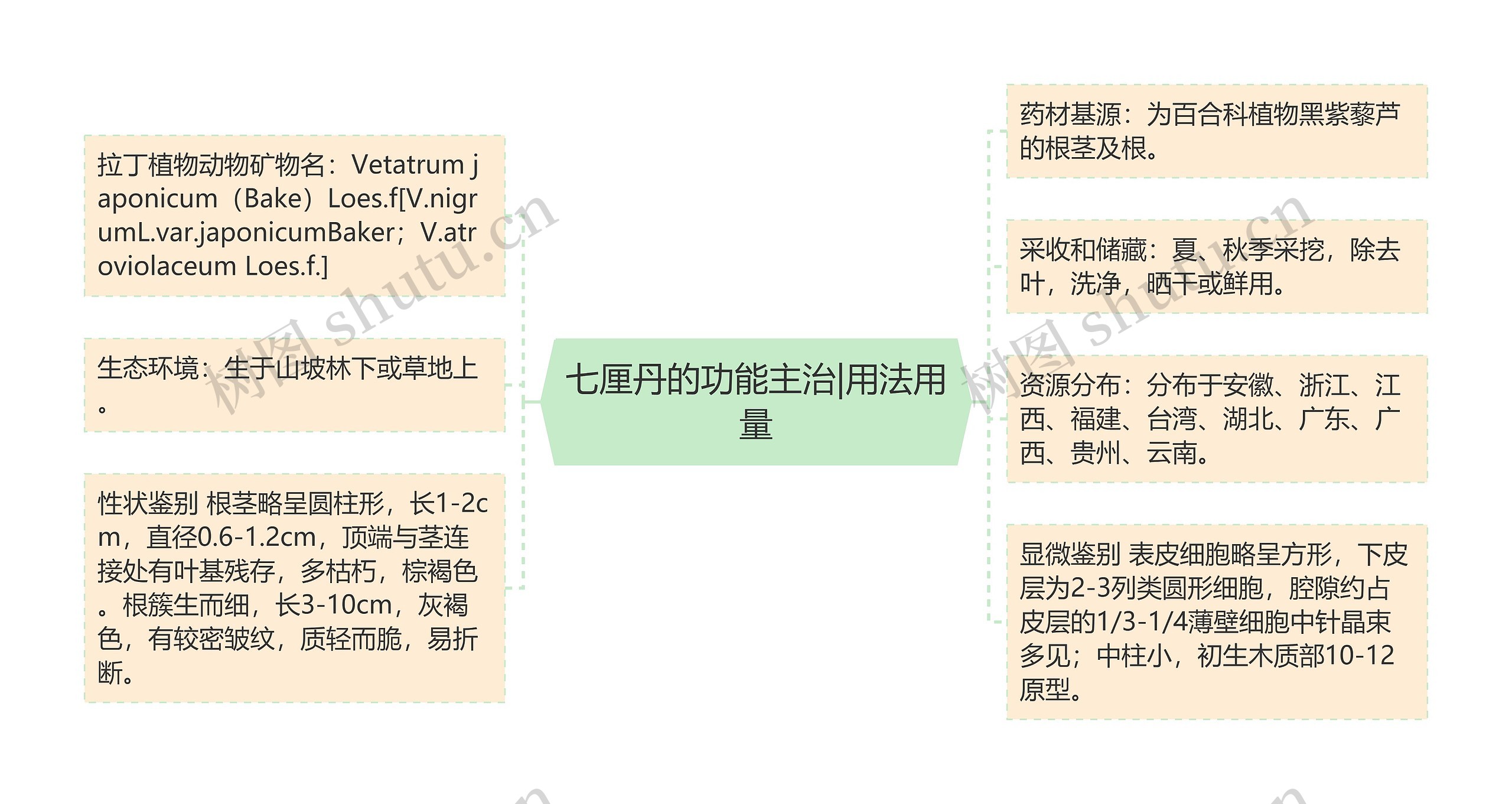 七厘丹的功能主治|用法用量 七厘丹的功能主治|用法用量