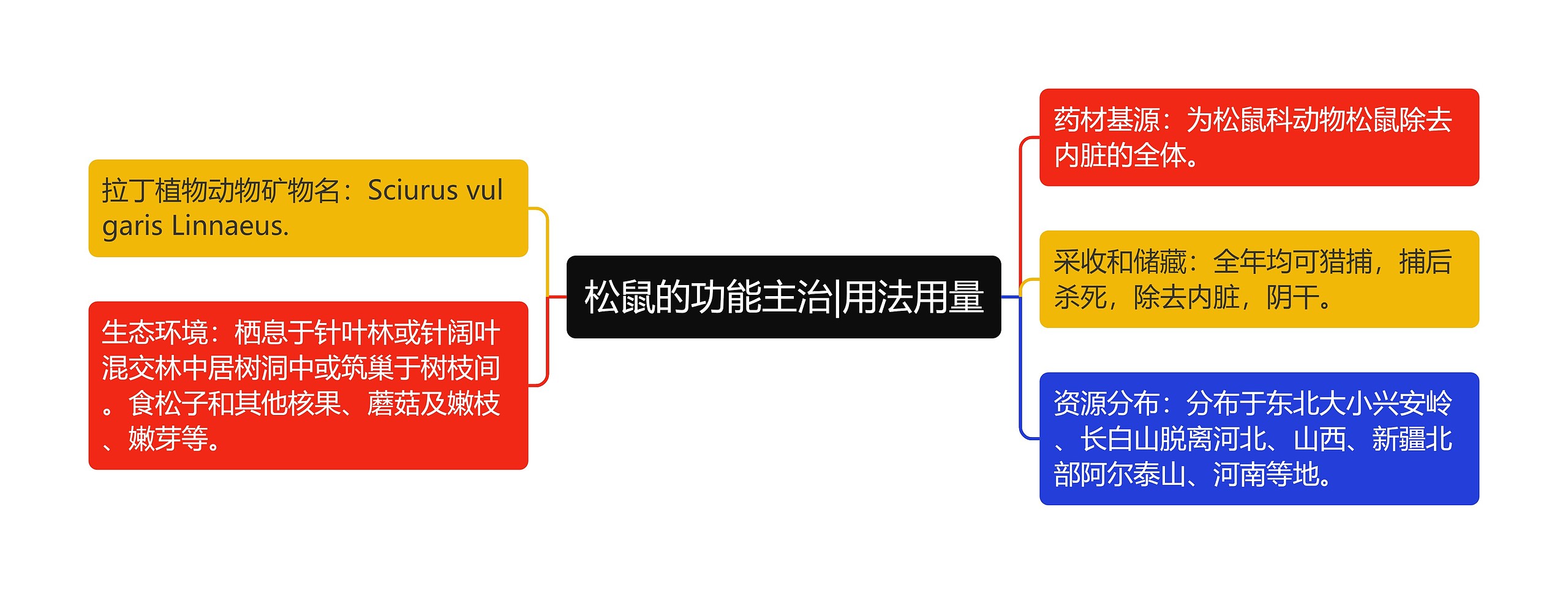 松鼠的功能主治|用法用量