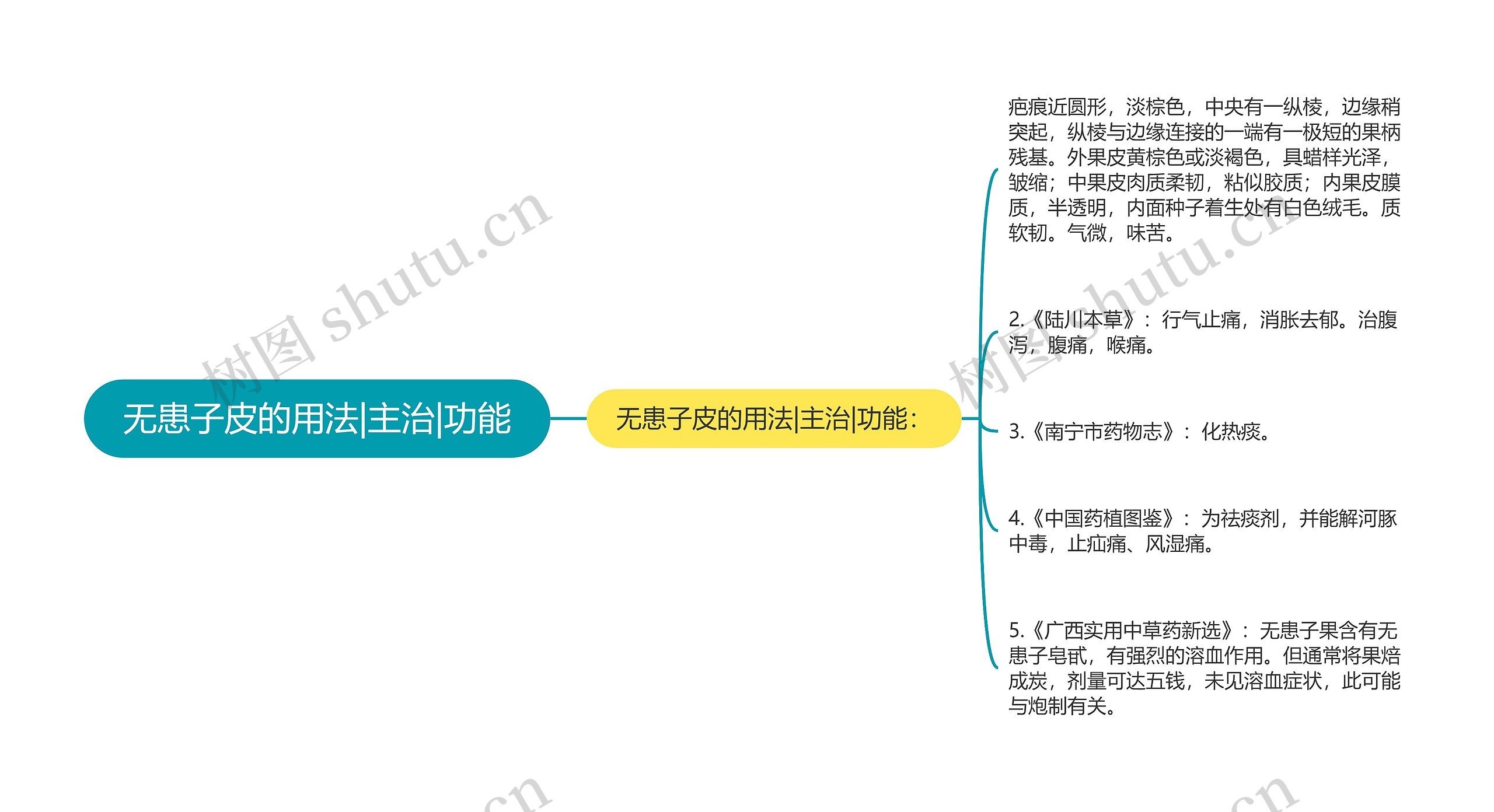 无患子皮的用法|主治|功能思维导图