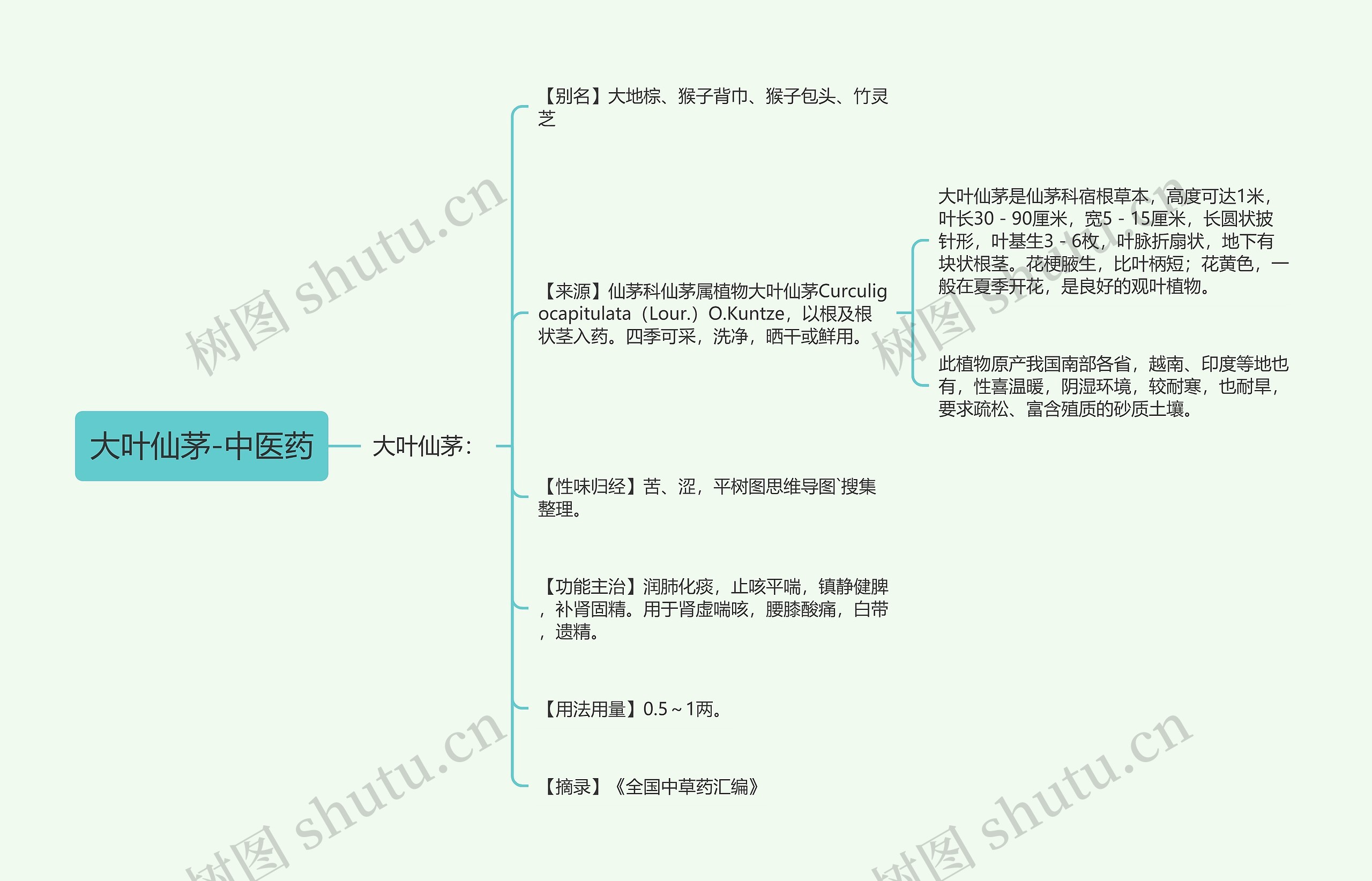 大叶仙茅-中医药 大叶仙茅-中医药