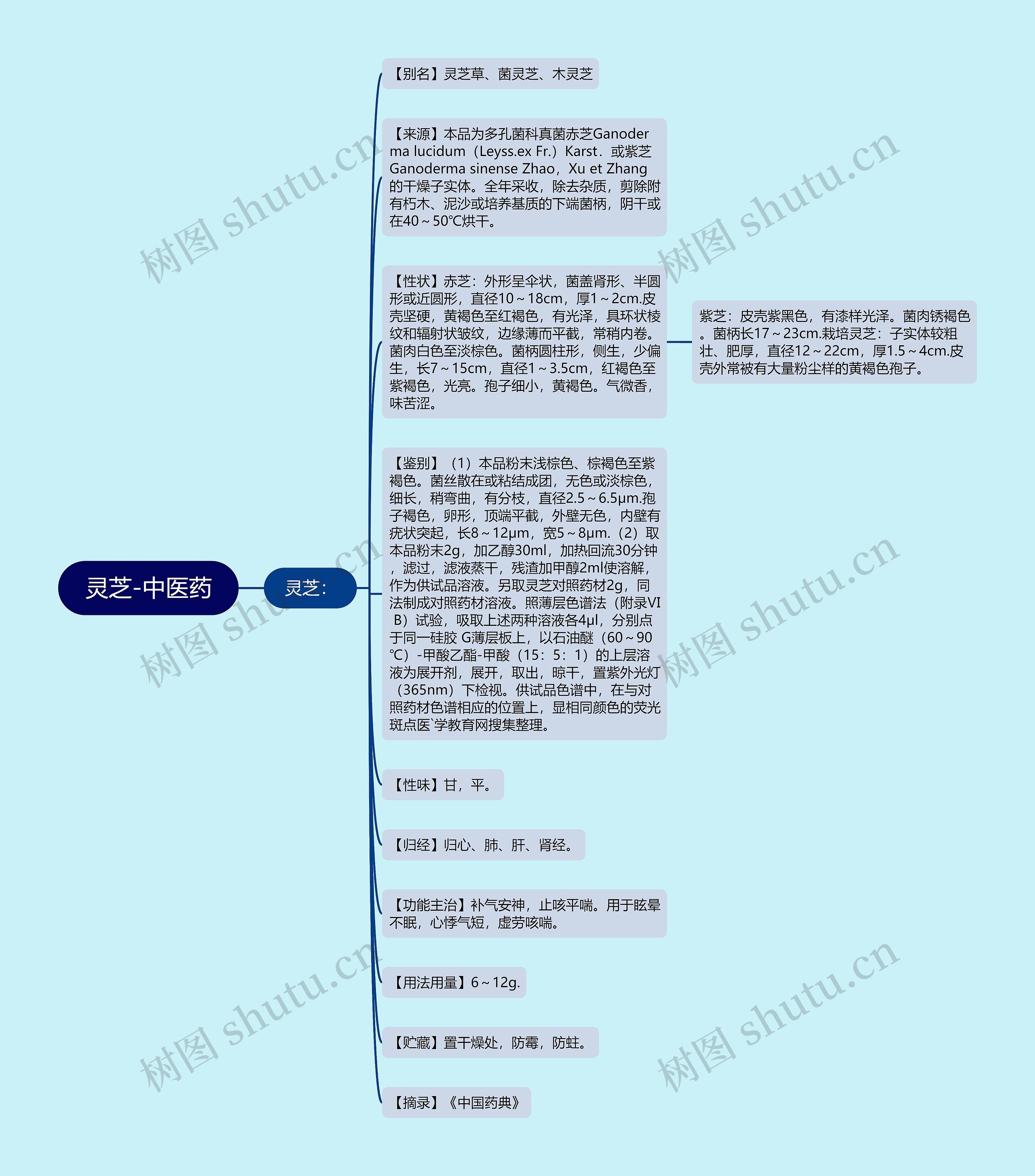 灵芝-中医药思维导图