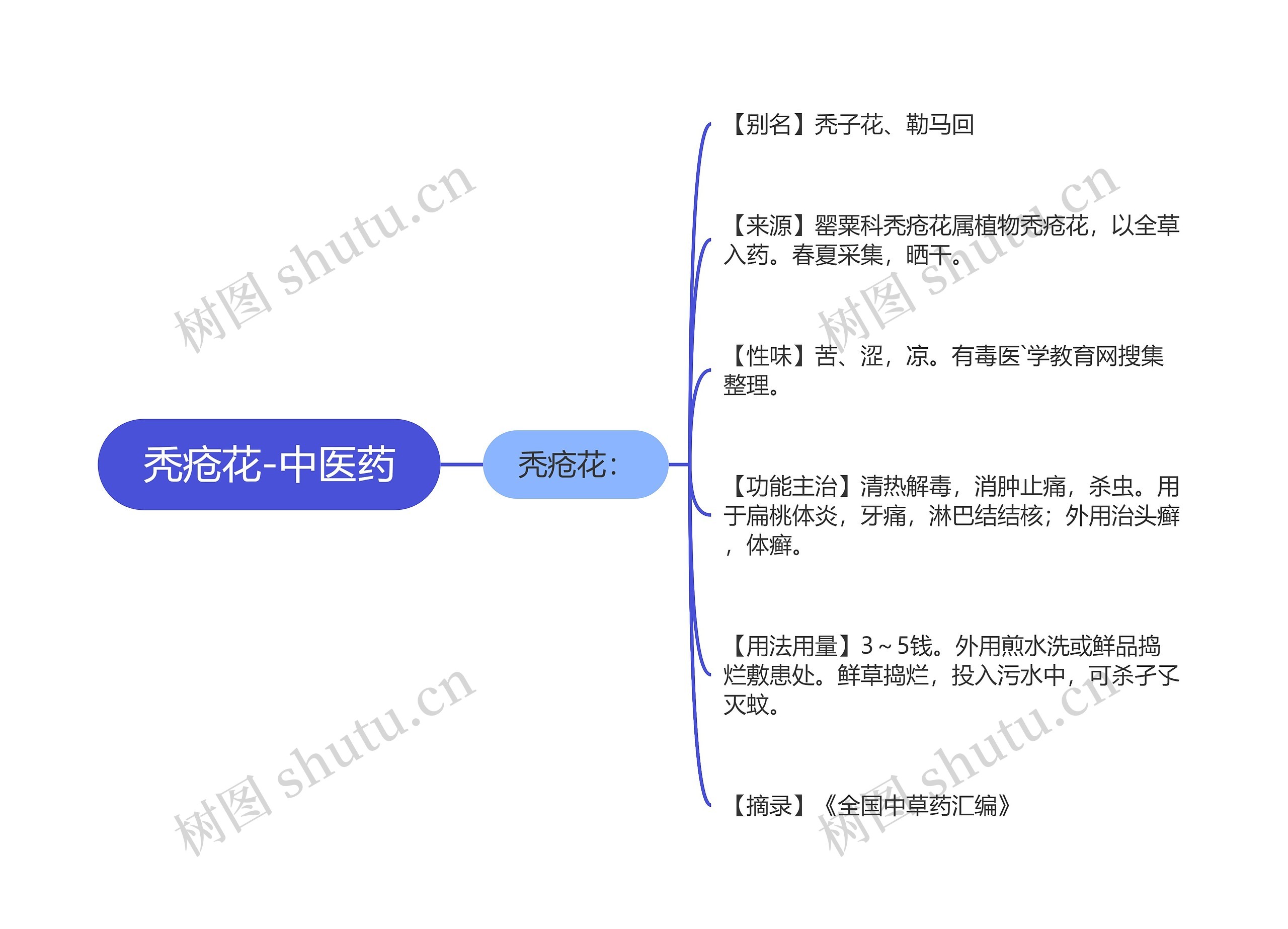 秃疮花-中医药思维导图