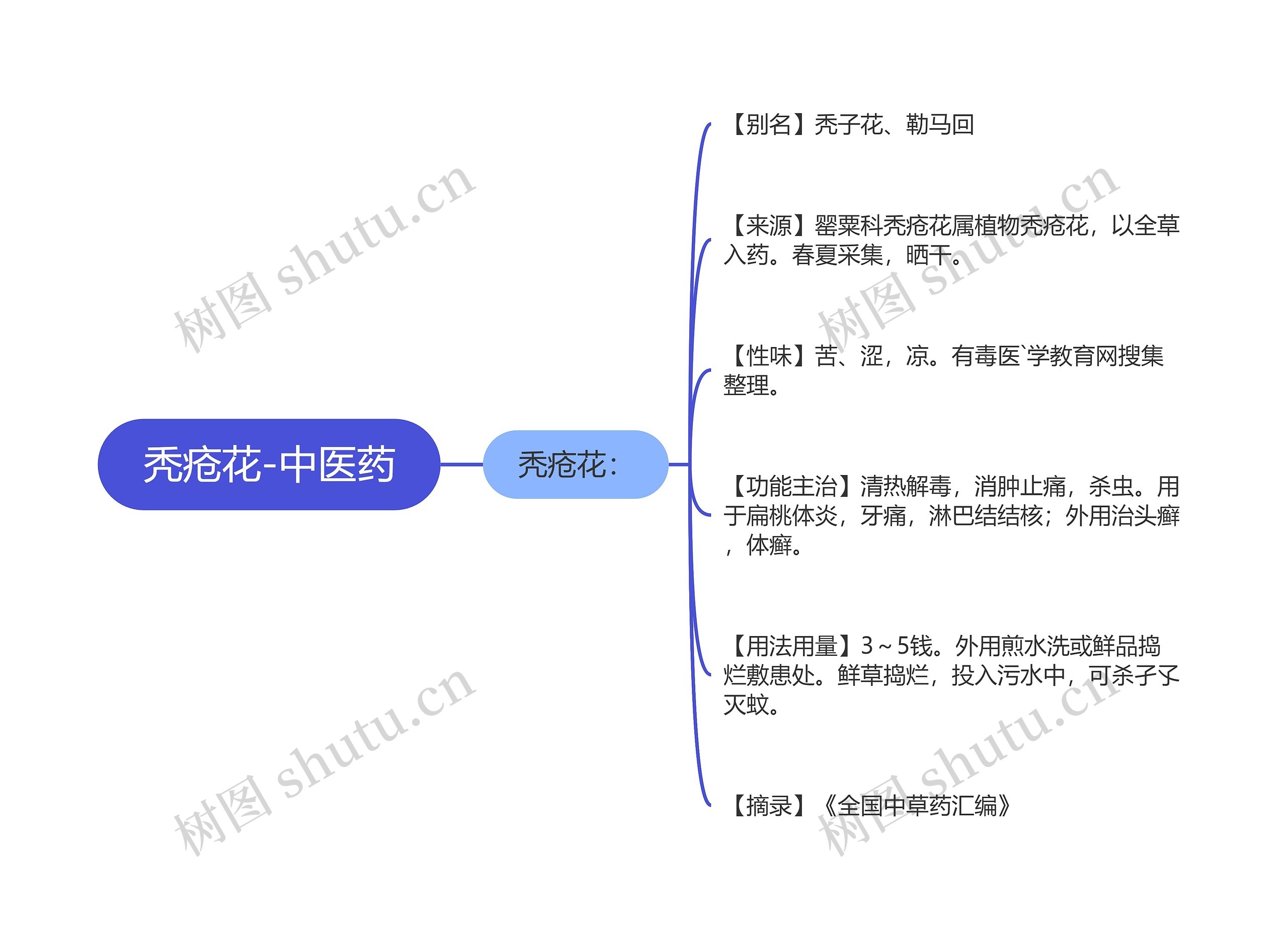 秃疮花-中医药 秃疮花-中医药