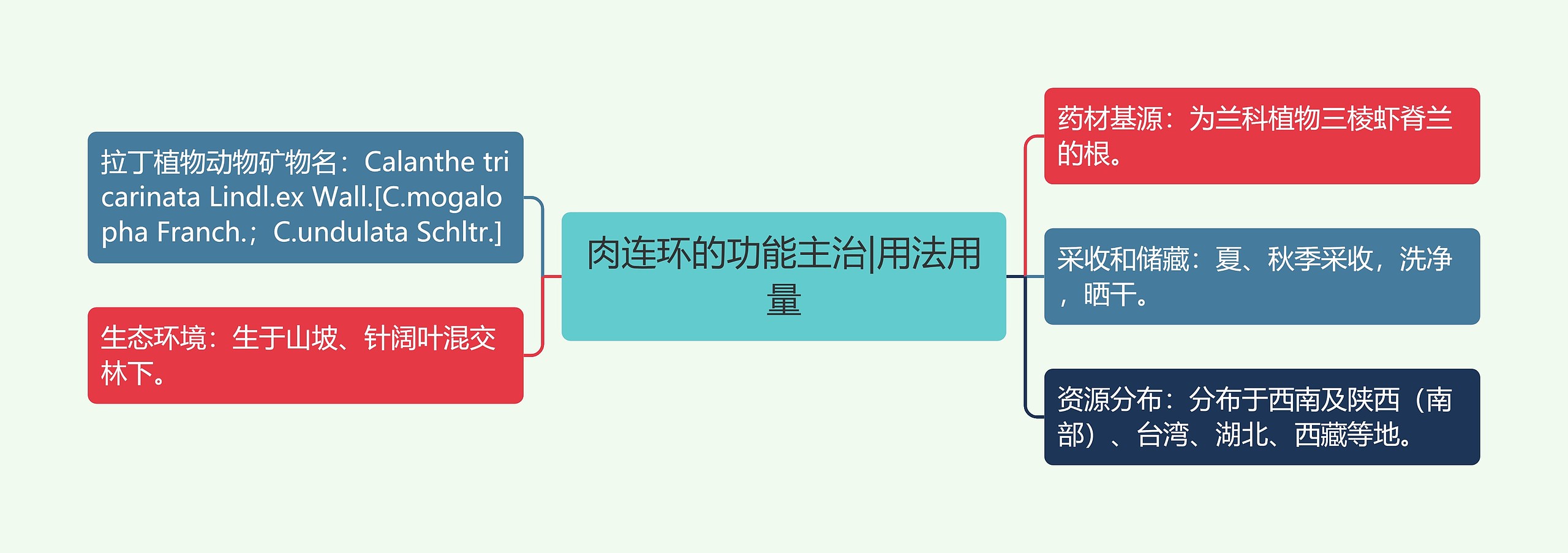 肉连环的功能主治|用法用量 肉连环的功能主治|用法用量