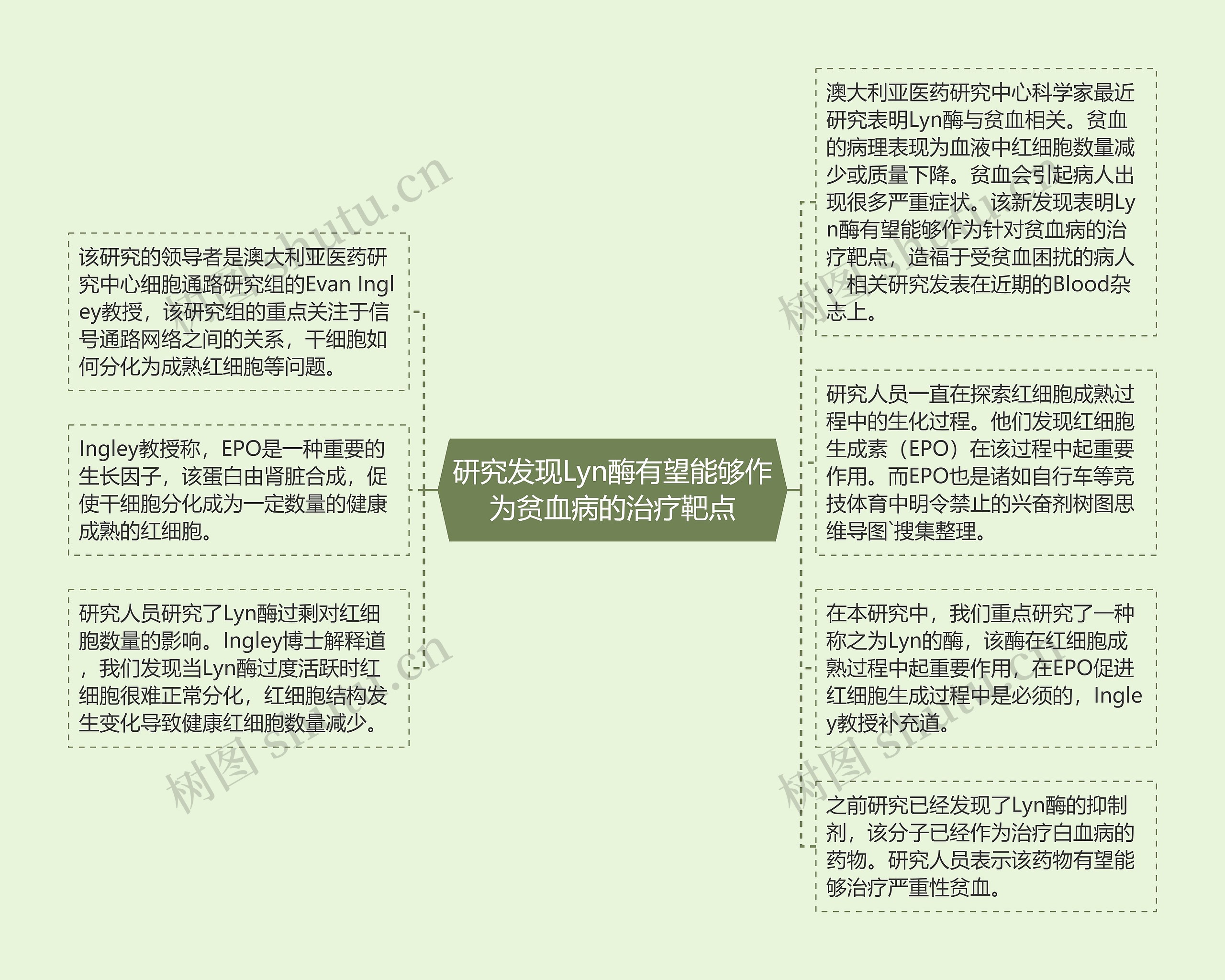 研究发现Lyn酶有望能够作为贫血病的治疗靶点思维导图