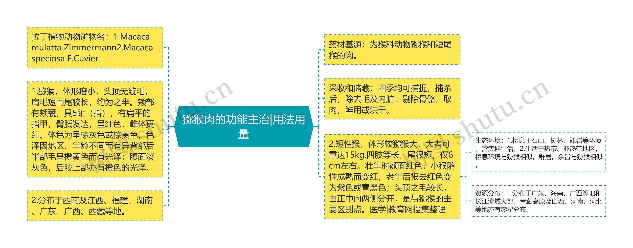 猕猴肉的功能主治|用法用量 猕猴肉的功能主治|用法用量