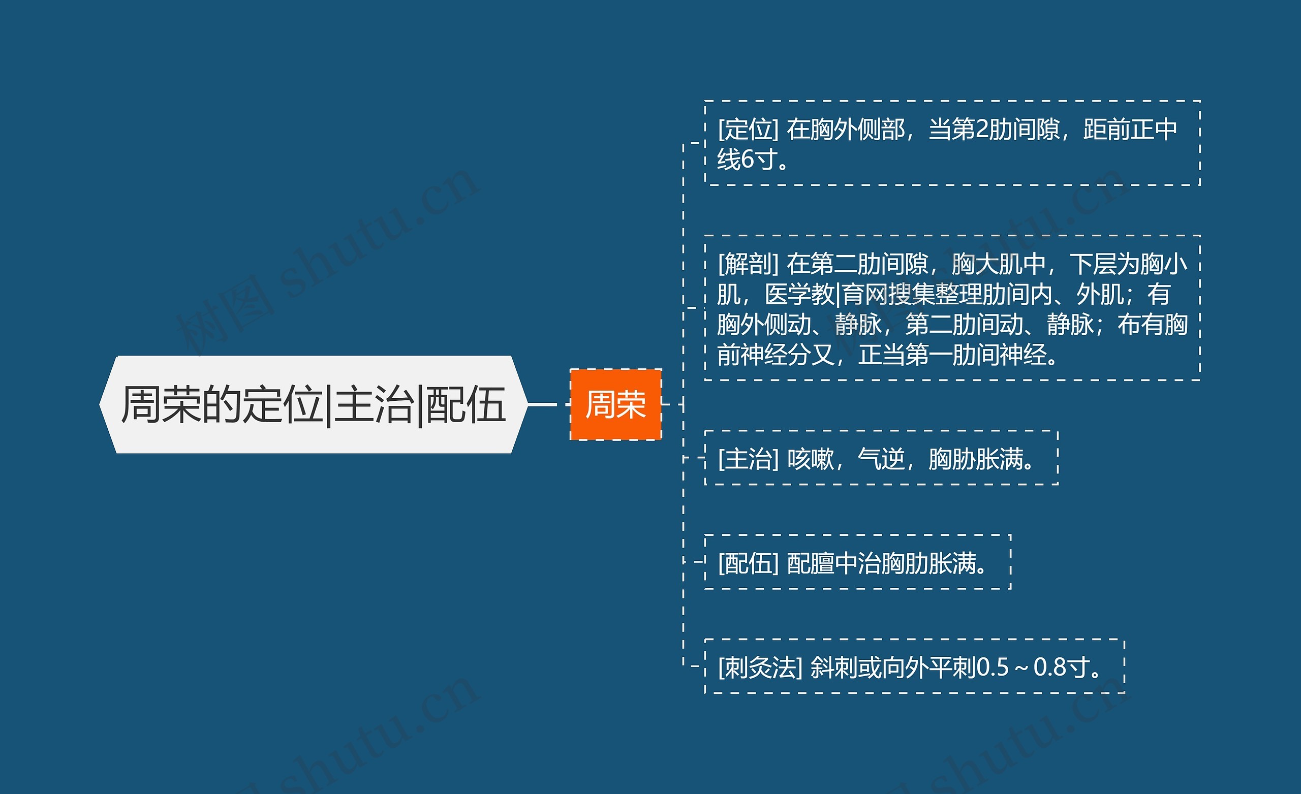 周荣的定位|主治|配伍