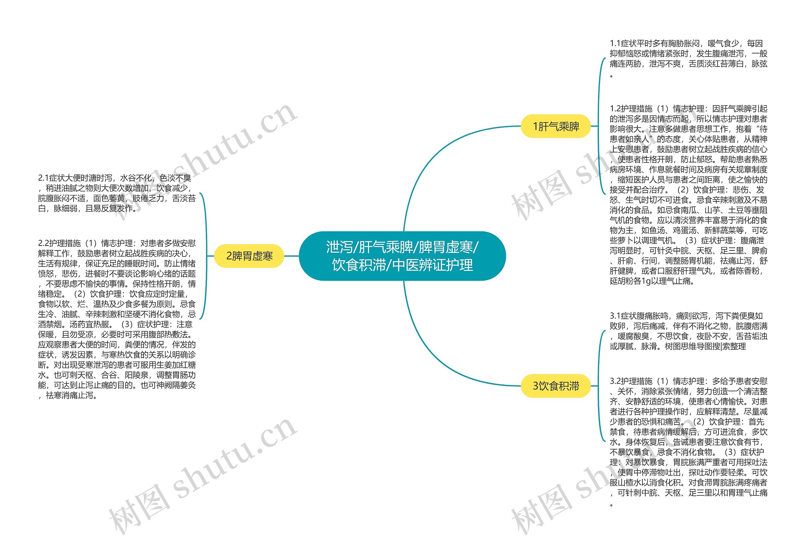 泄泻/肝气乘脾/脾胃虚寒/饮食积滞/中医辨证护理思维导图