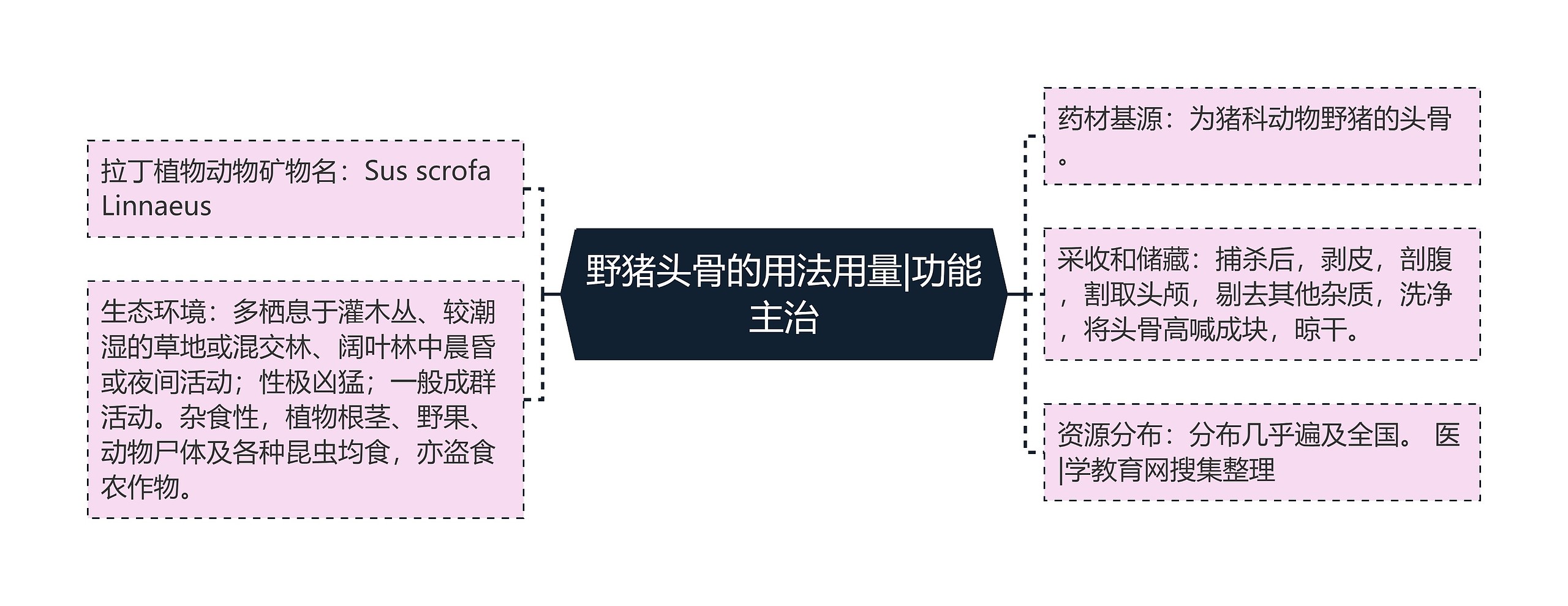 野猪头骨的用法用量|功能主治