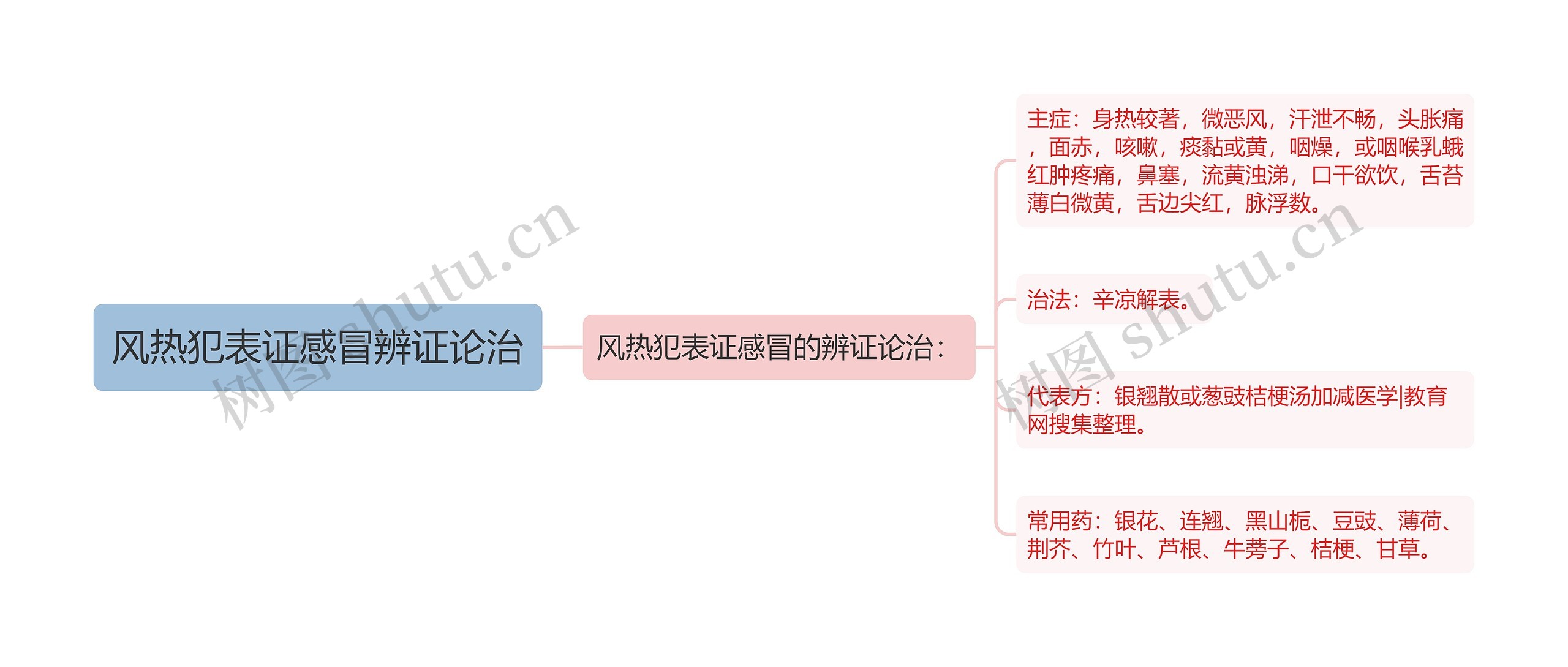 风热犯表证感冒辨证论治思维导图