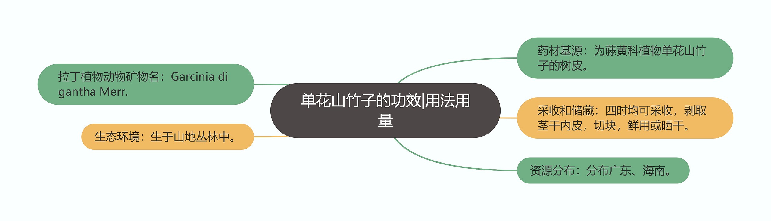 单花山竹子的功效|用法用量 单花山竹子的功效|用法用量