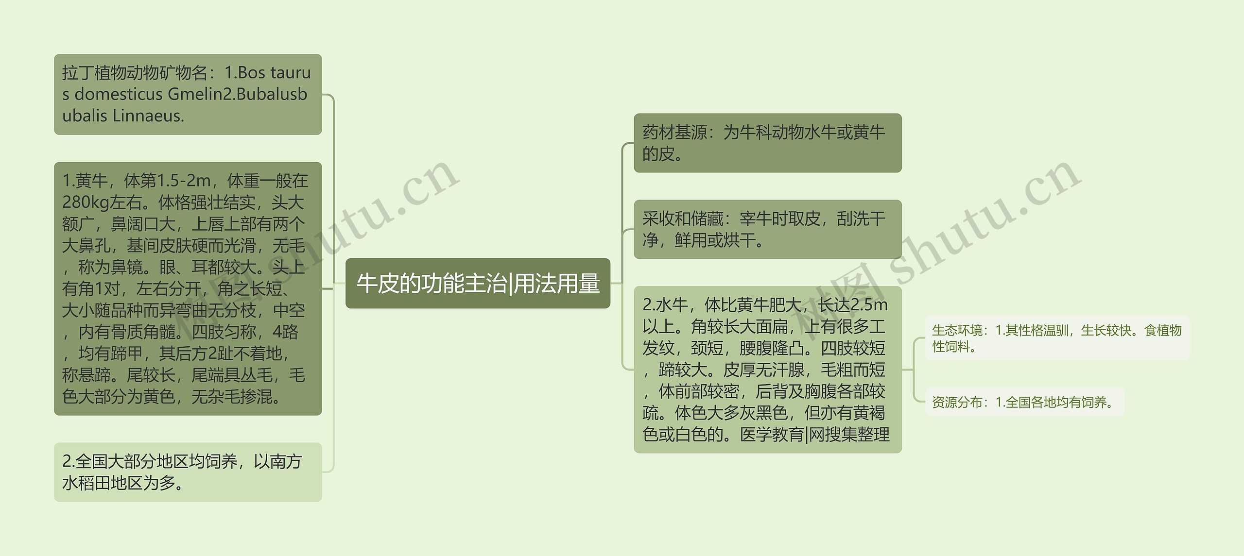 牛皮的功能主治|用法用量 牛皮的功能主治|用法用量