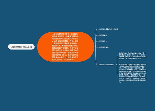 上颌骨及腭骨的发育