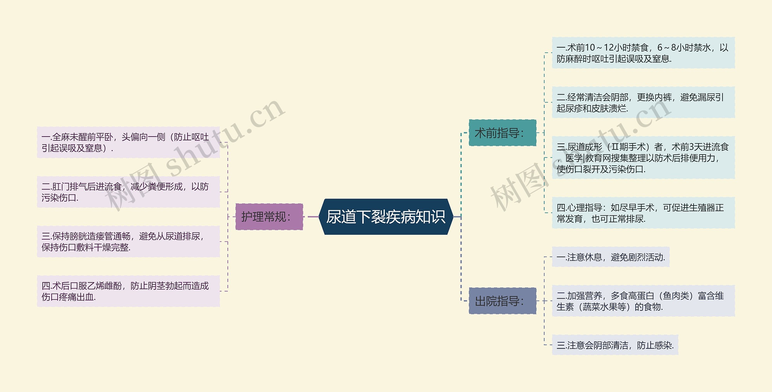 尿道下裂疾病知识思维导图