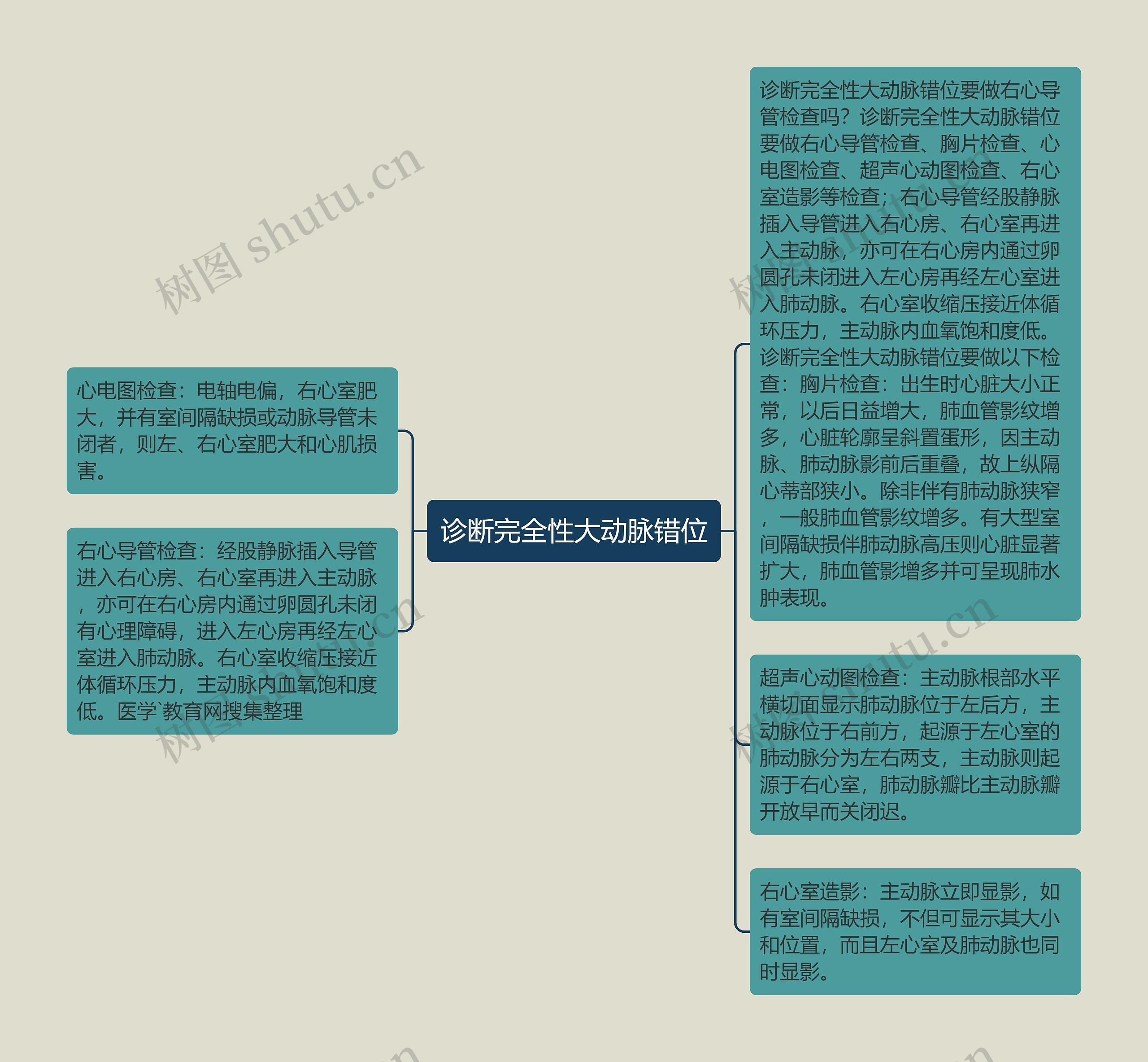 诊断完全性大动脉错位思维导图