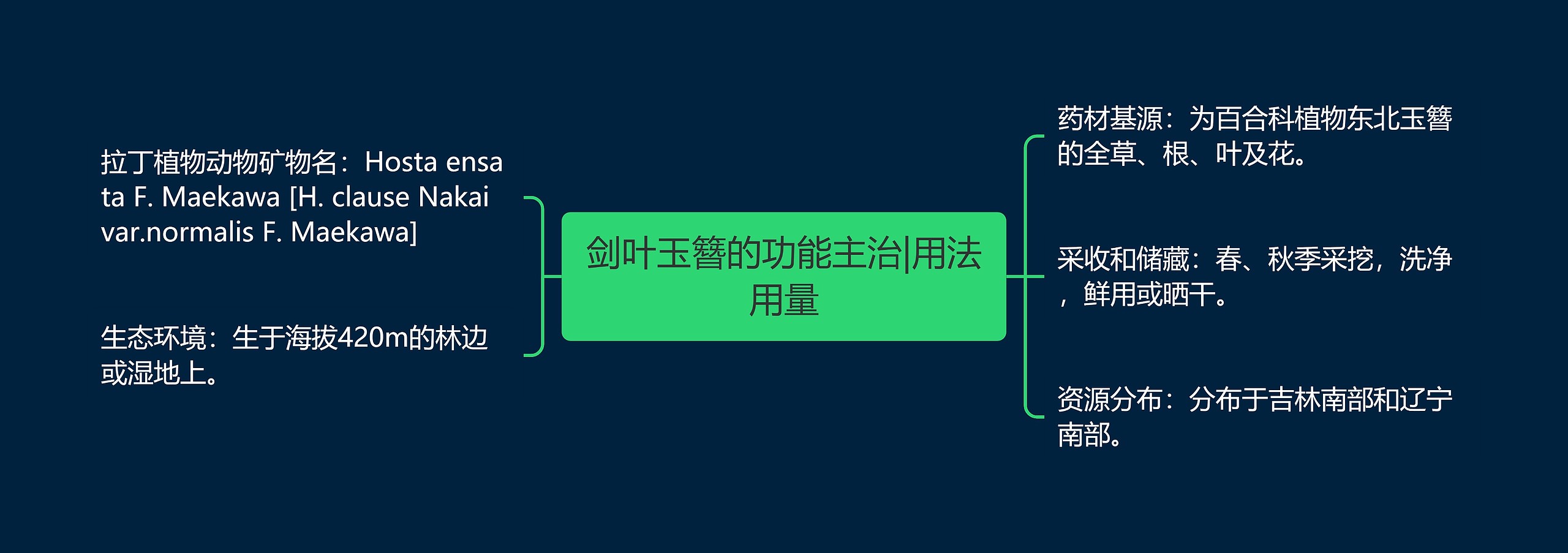 剑叶玉簪的功能主治|用法用量 剑叶玉簪的功能主治|用法用量