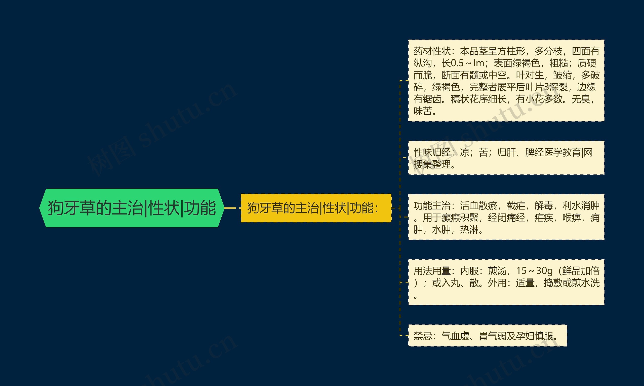 狗牙草的主治|性状|功能思维导图