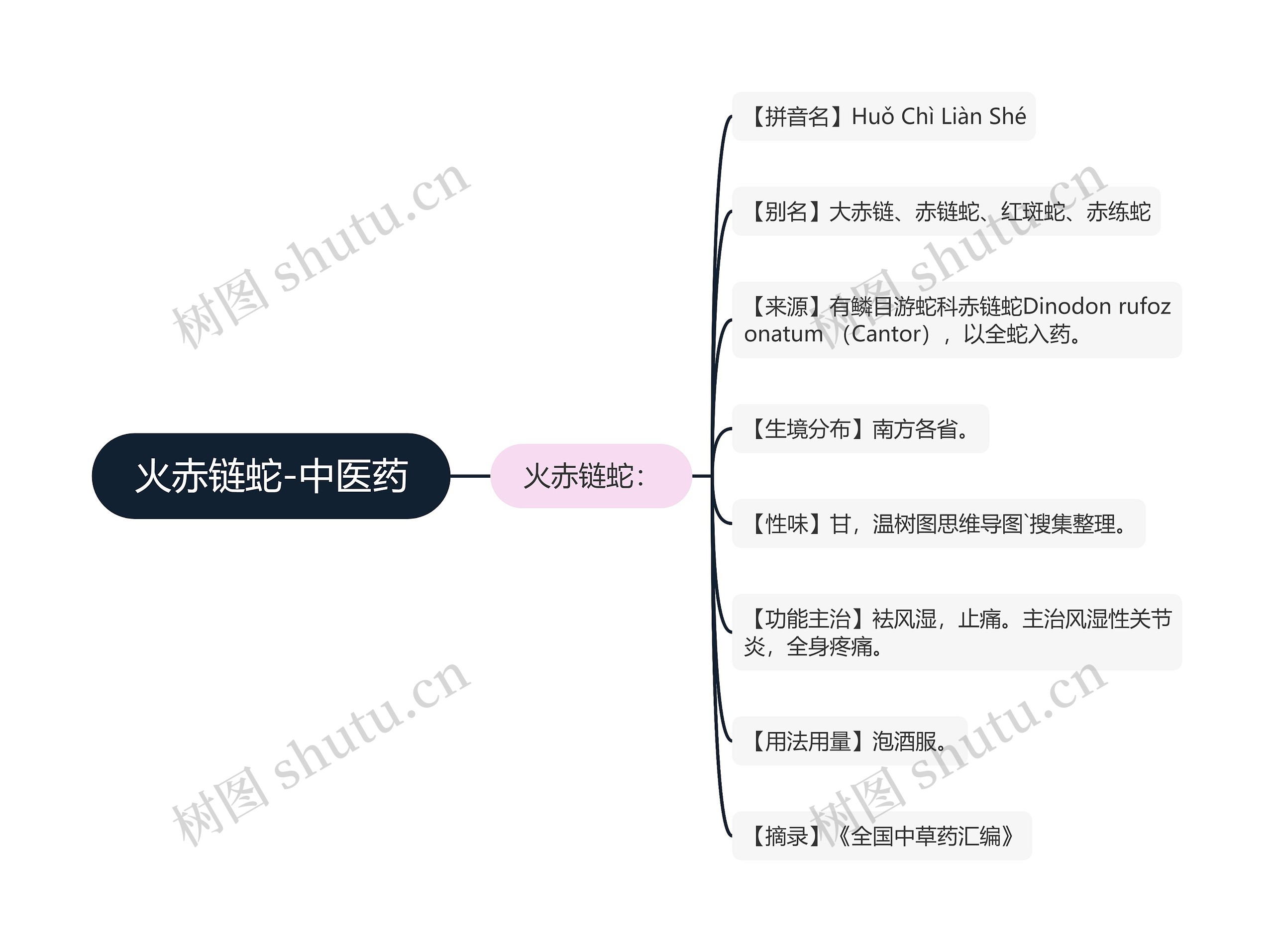 火赤链蛇-中医药思维导图