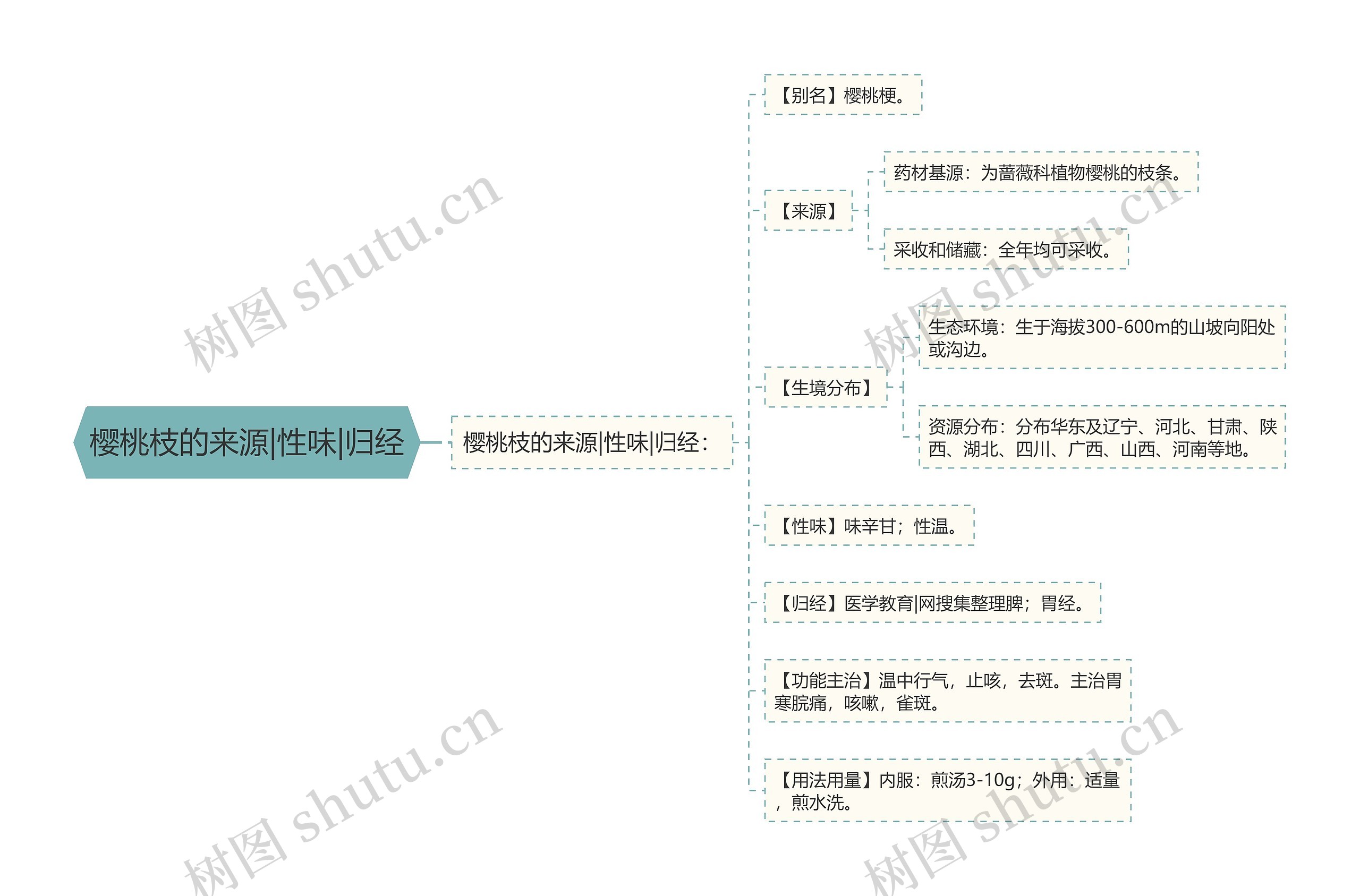 樱桃枝的来源|性味|归经思维导图