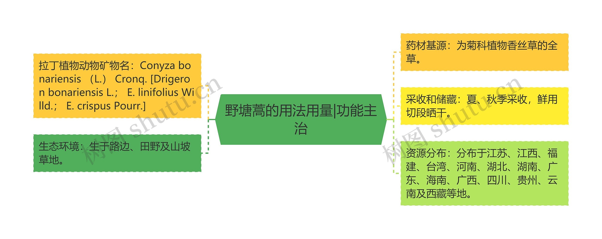 野塘蒿的用法用量|功能主治