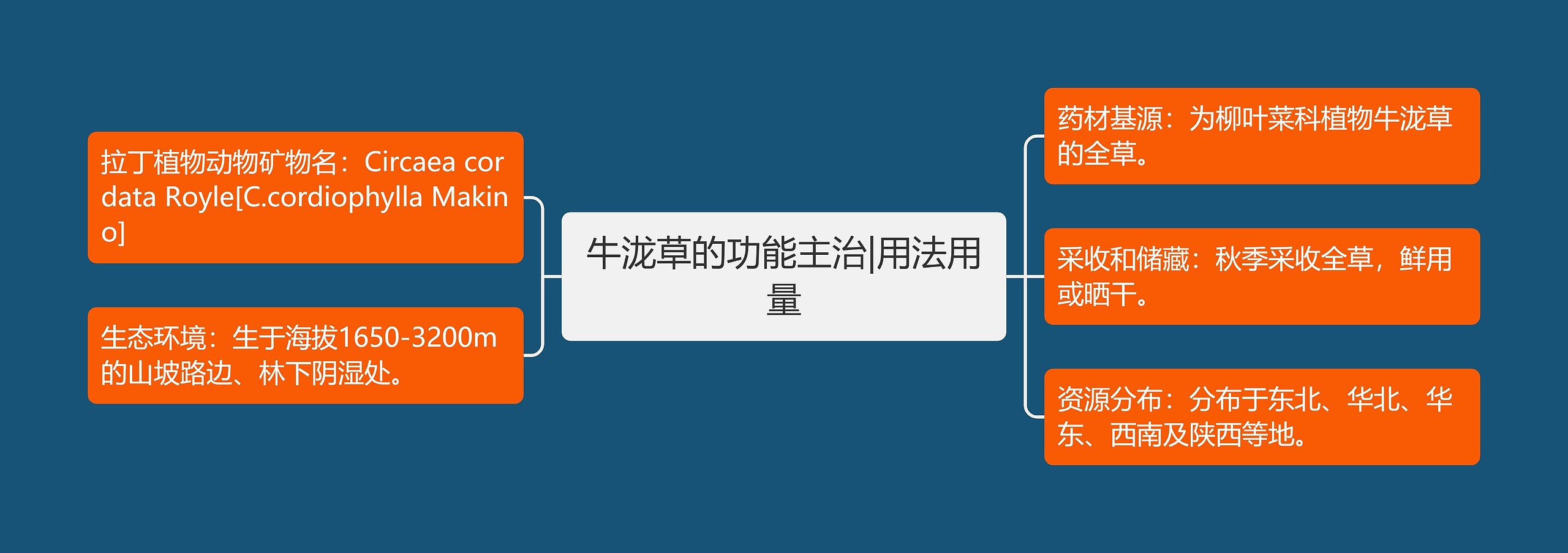 牛泷草的功能主治|用法用量 牛泷草的功能主治|用法用量