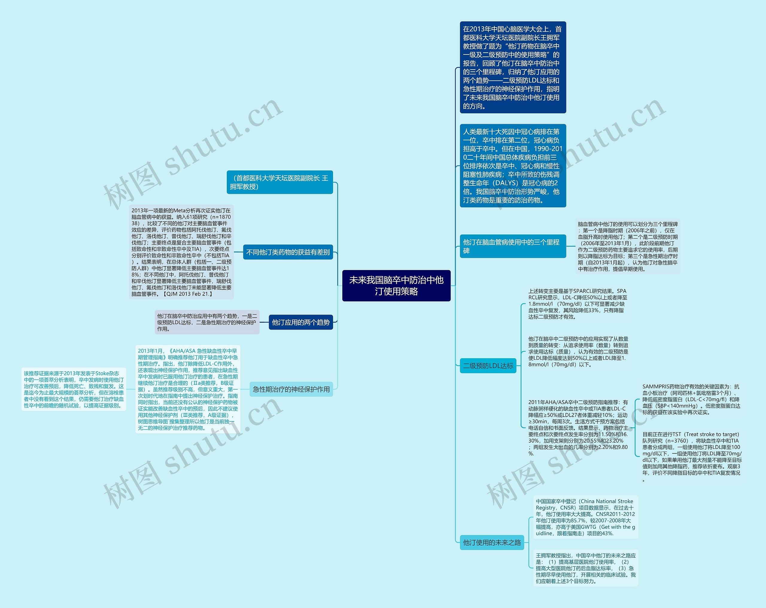 未来我国脑卒中防治中他汀使用策略 未来我国脑卒中防治中他汀使用策略