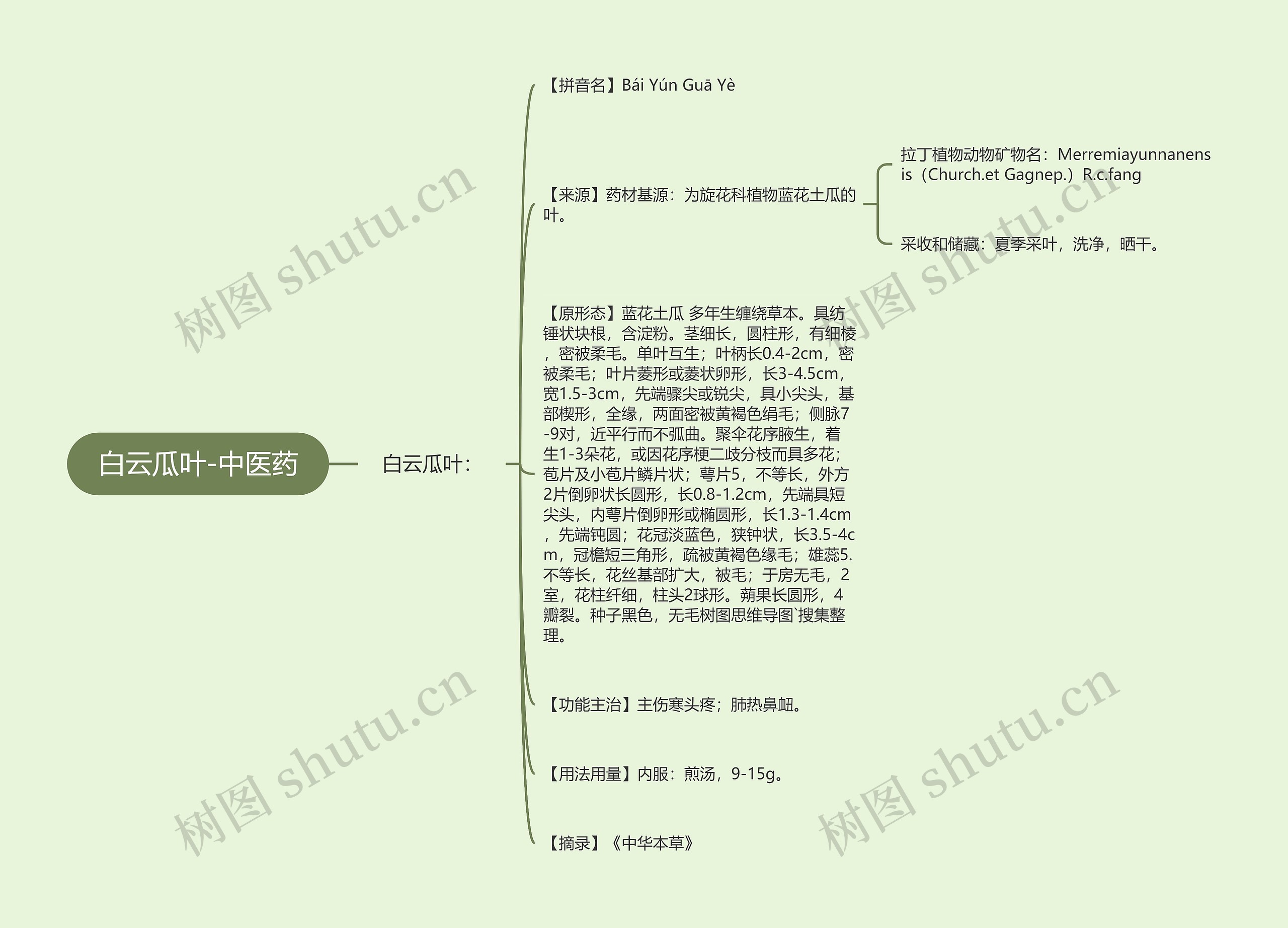 白云瓜叶-中医药 白云瓜叶-中医药