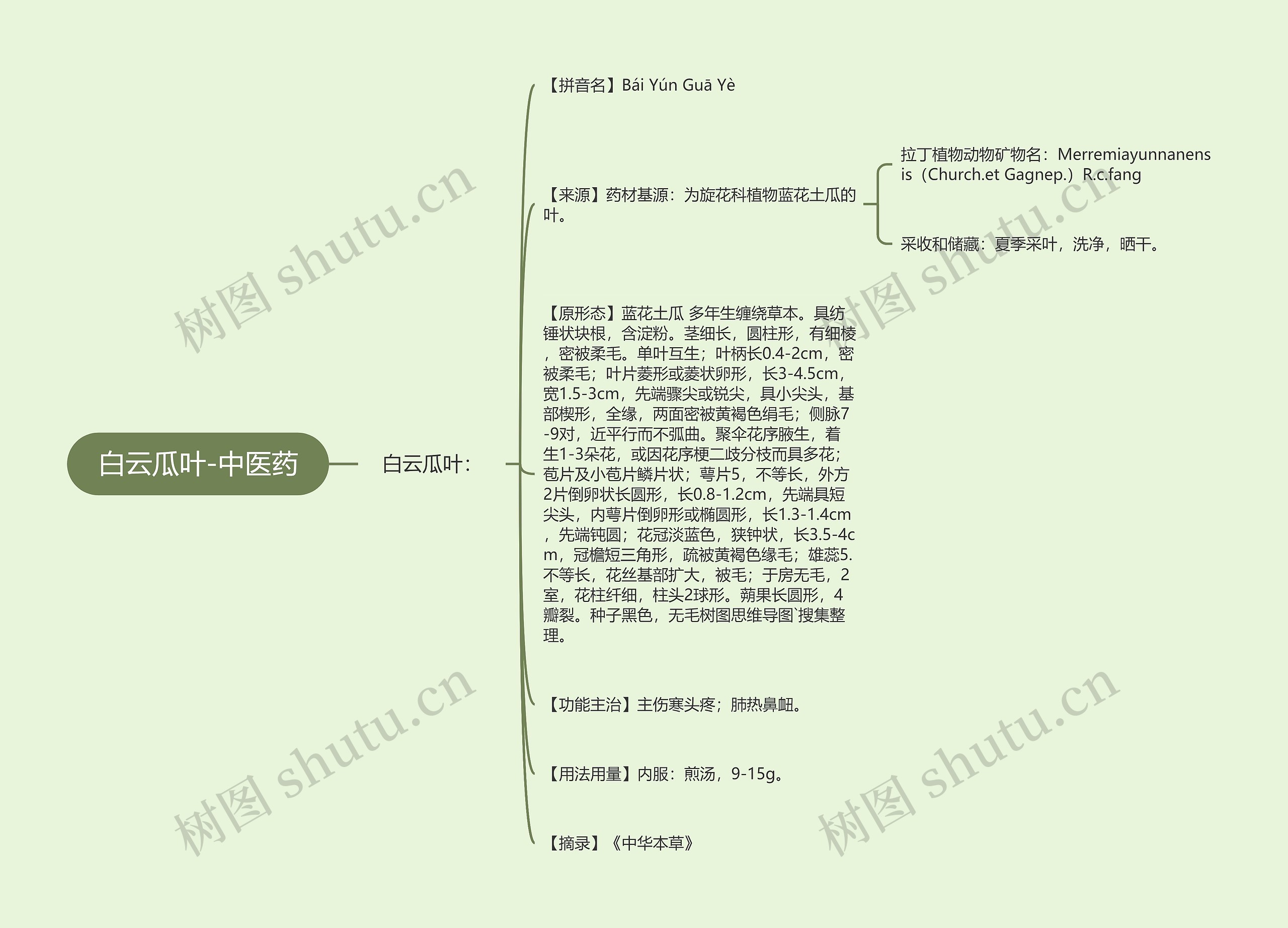 白云瓜叶-中医药思维导图