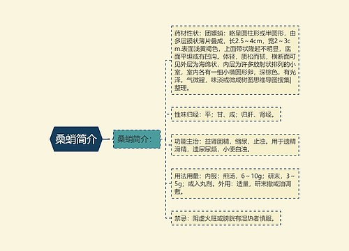 桑蛸简介