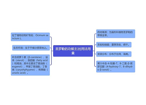 圣罗勒的功能主治|用法用量